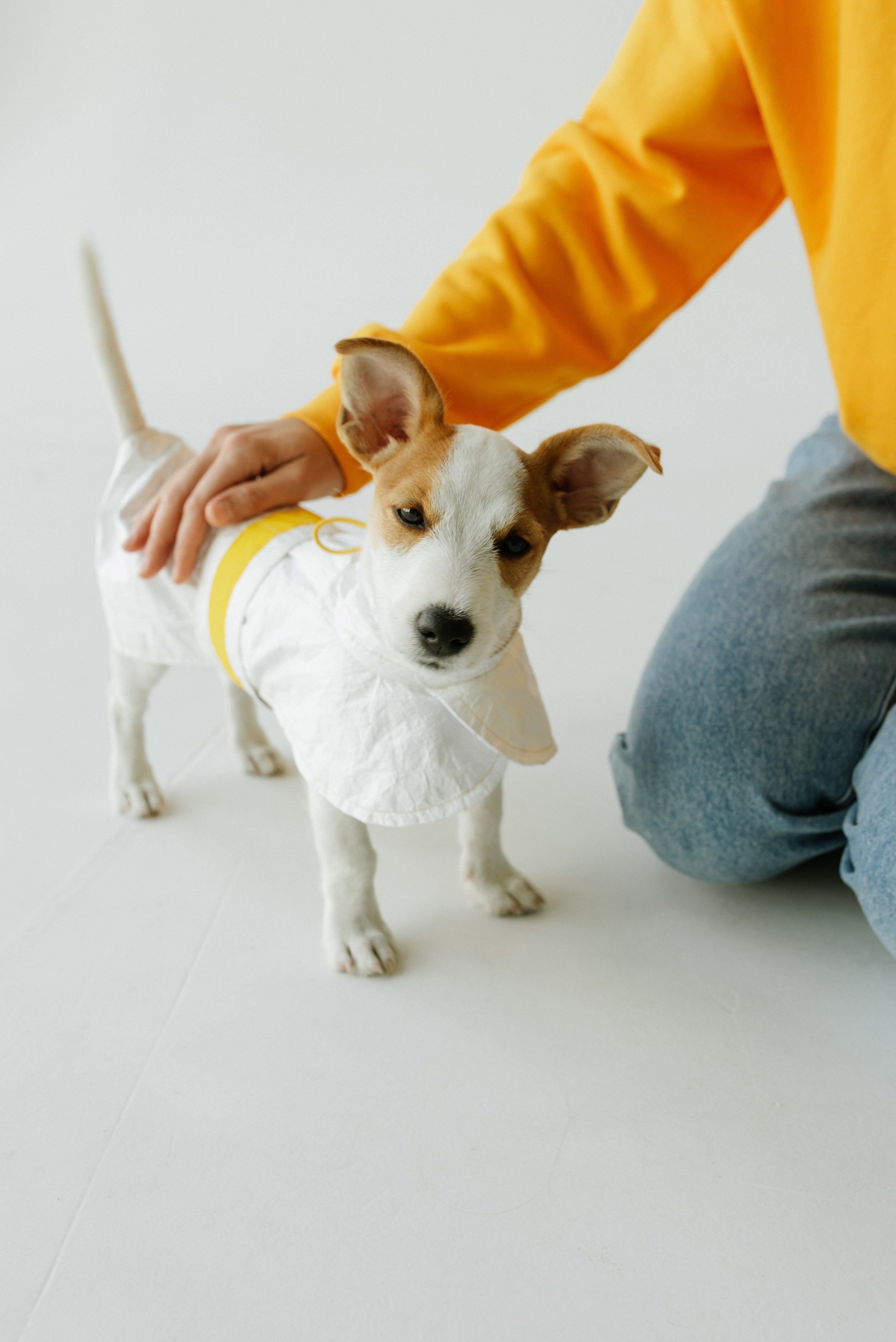 Petitemo.official. FOTOGRAF Ryzhykova Valentyna Kraków Polska