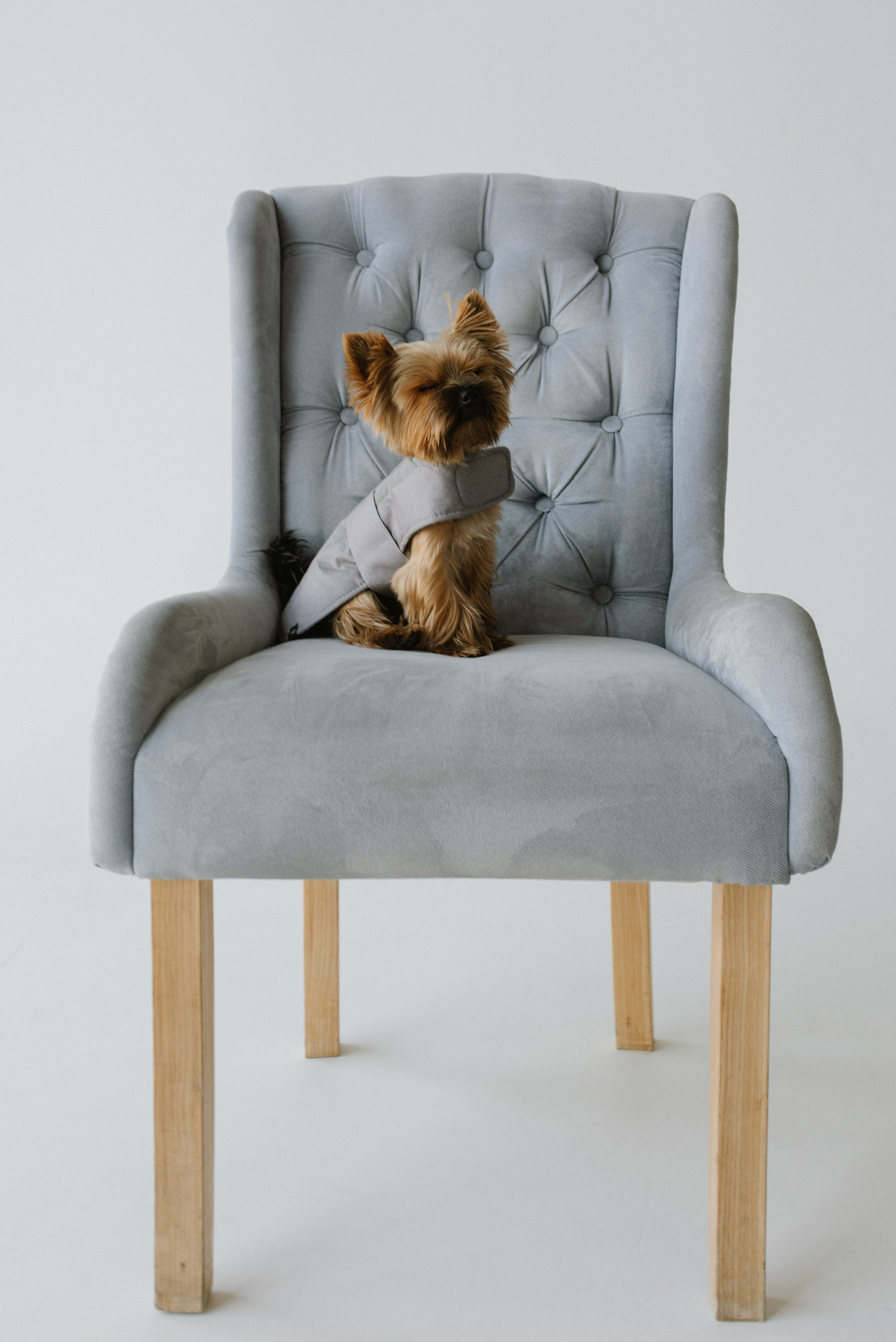 Petitemo.official. FOTOGRAF Ryzhykova Valentyna Kraków Polska