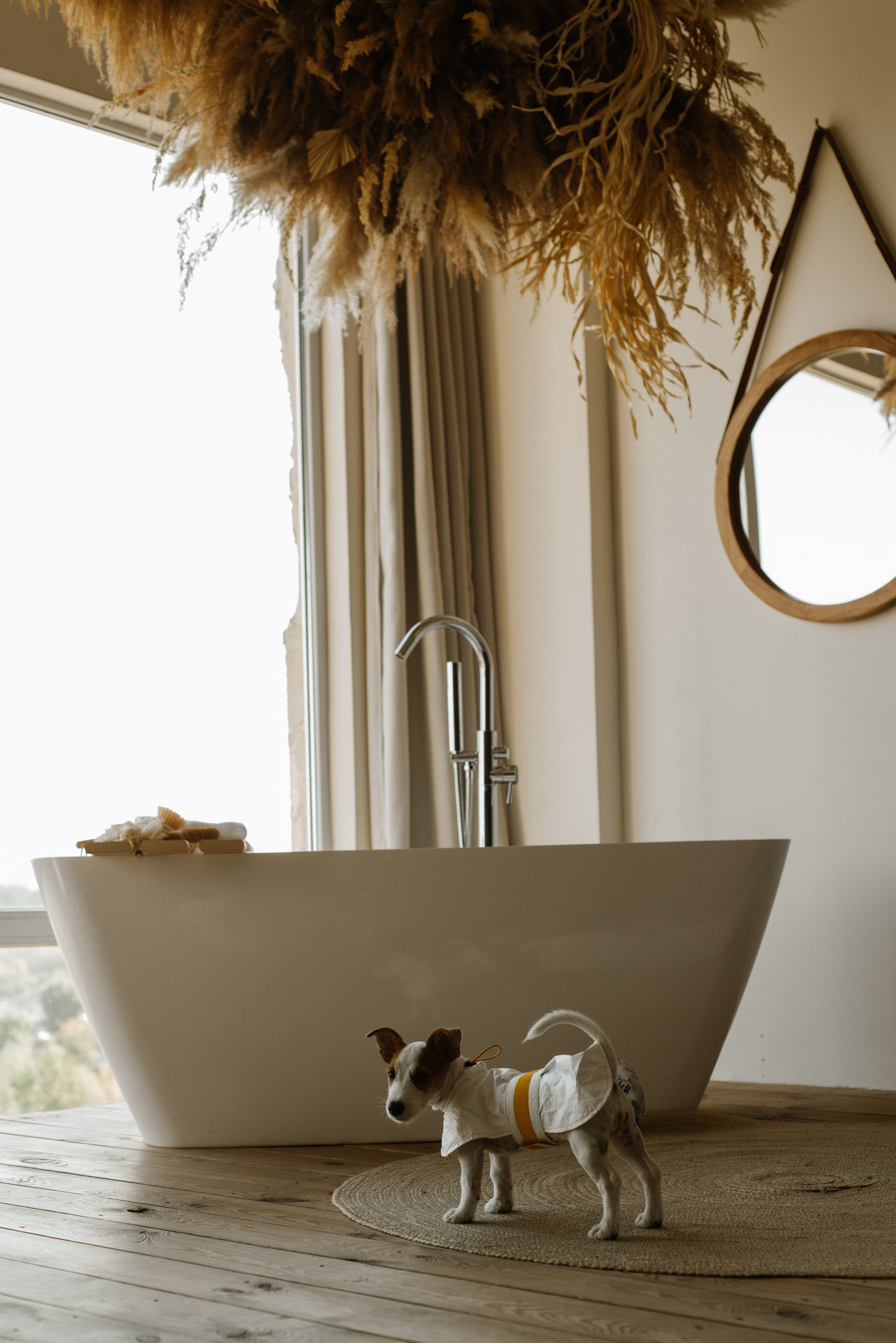 Petitemo.official. FOTOGRAF Ryzhykova Valentyna Kraków Polska