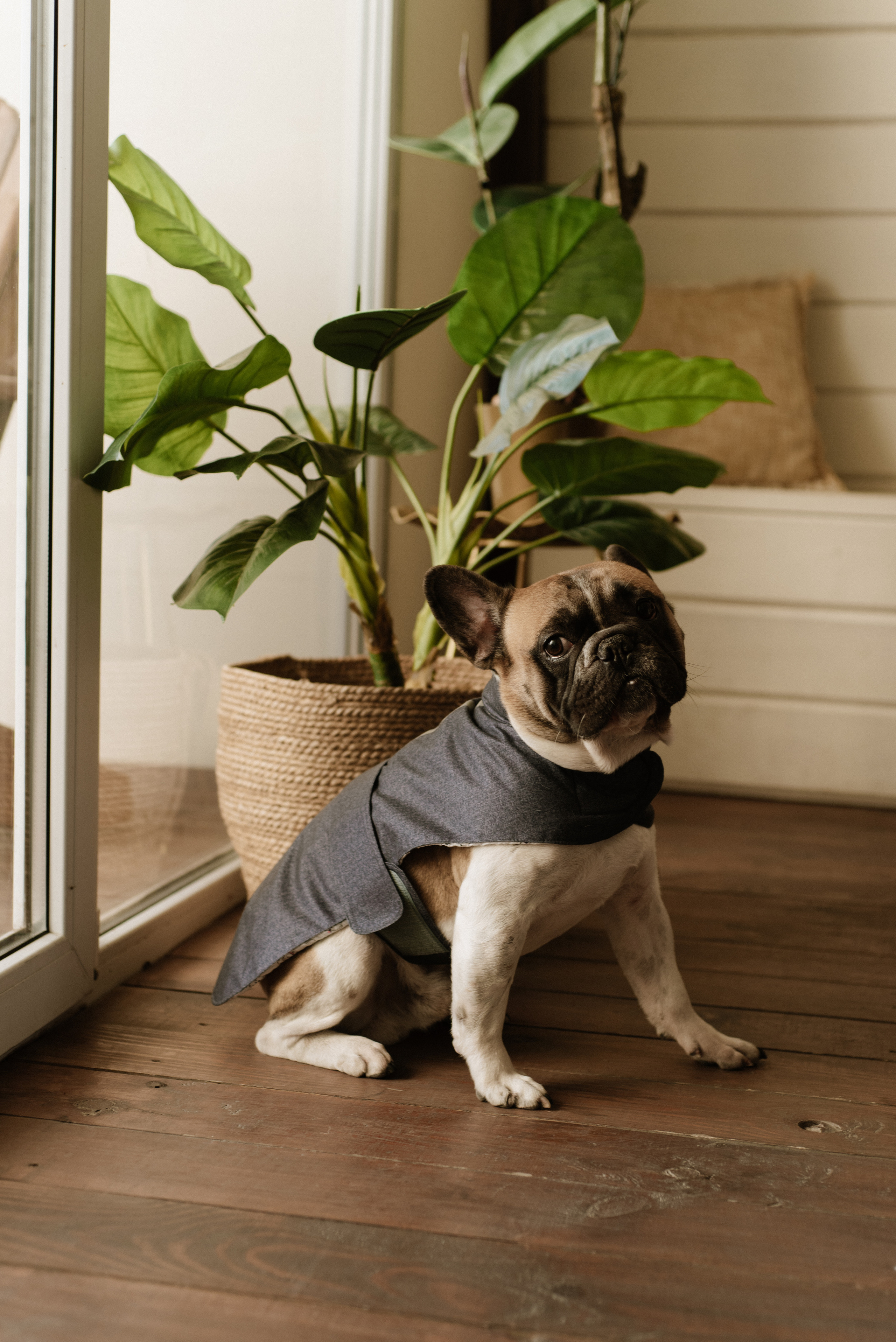 Petitemo.official. FOTOGRAF Ryzhykova Valentyna Kraków Polska