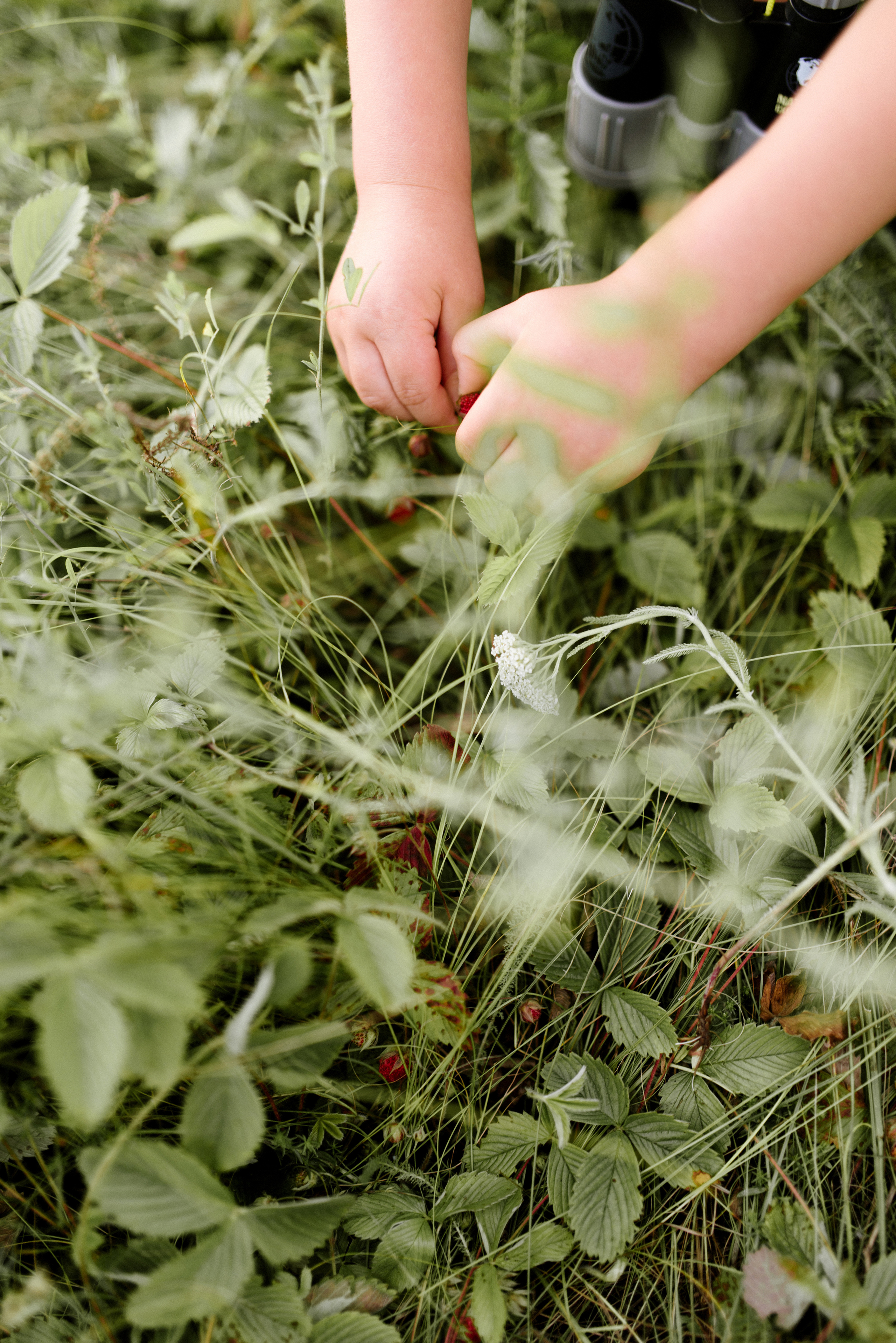 Vika, Pasha & Ivan. FOTOGRAF Ryzhykova Valentyna Kraków Polska