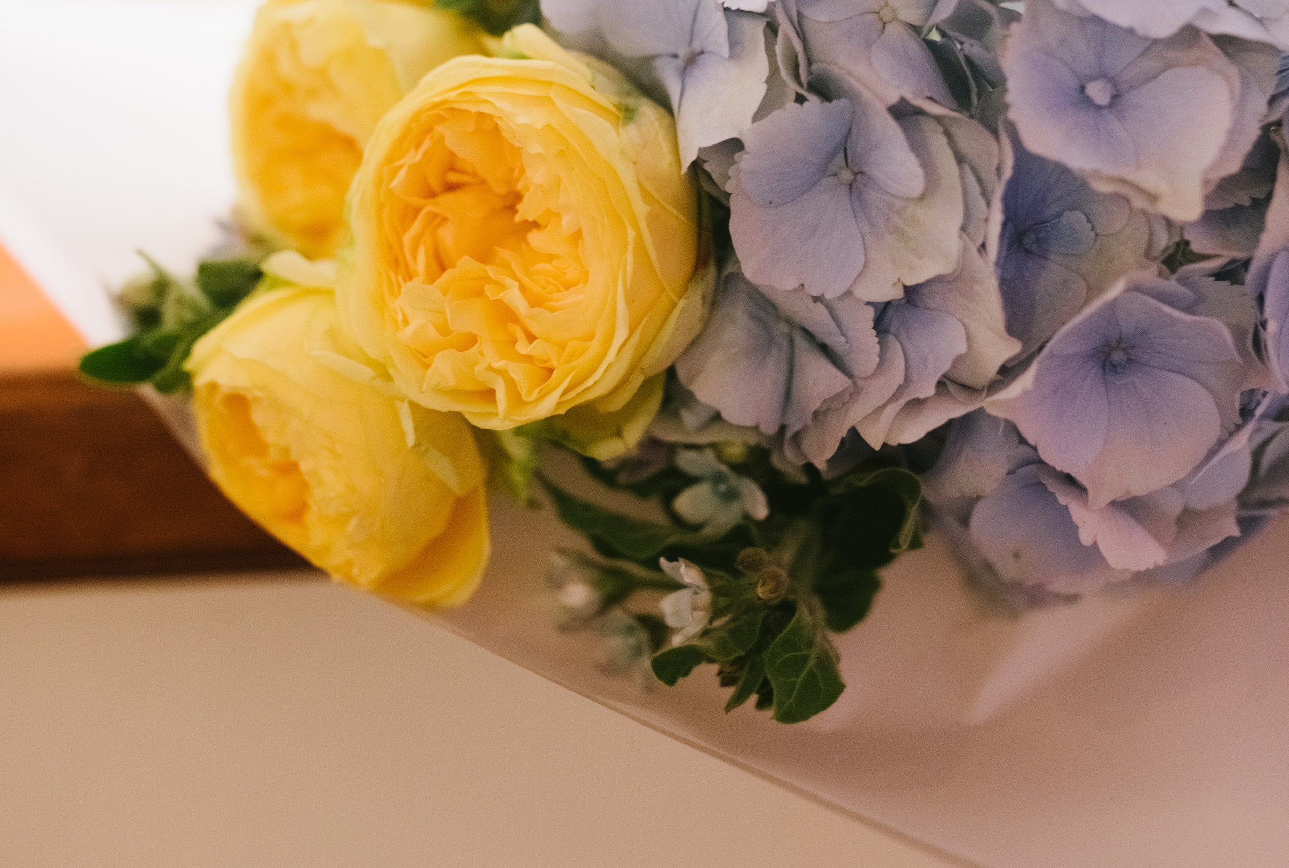 Roza & Dima Niepołomice. FOTOGRAF Ryzhykova Valentyna Kraków Polska