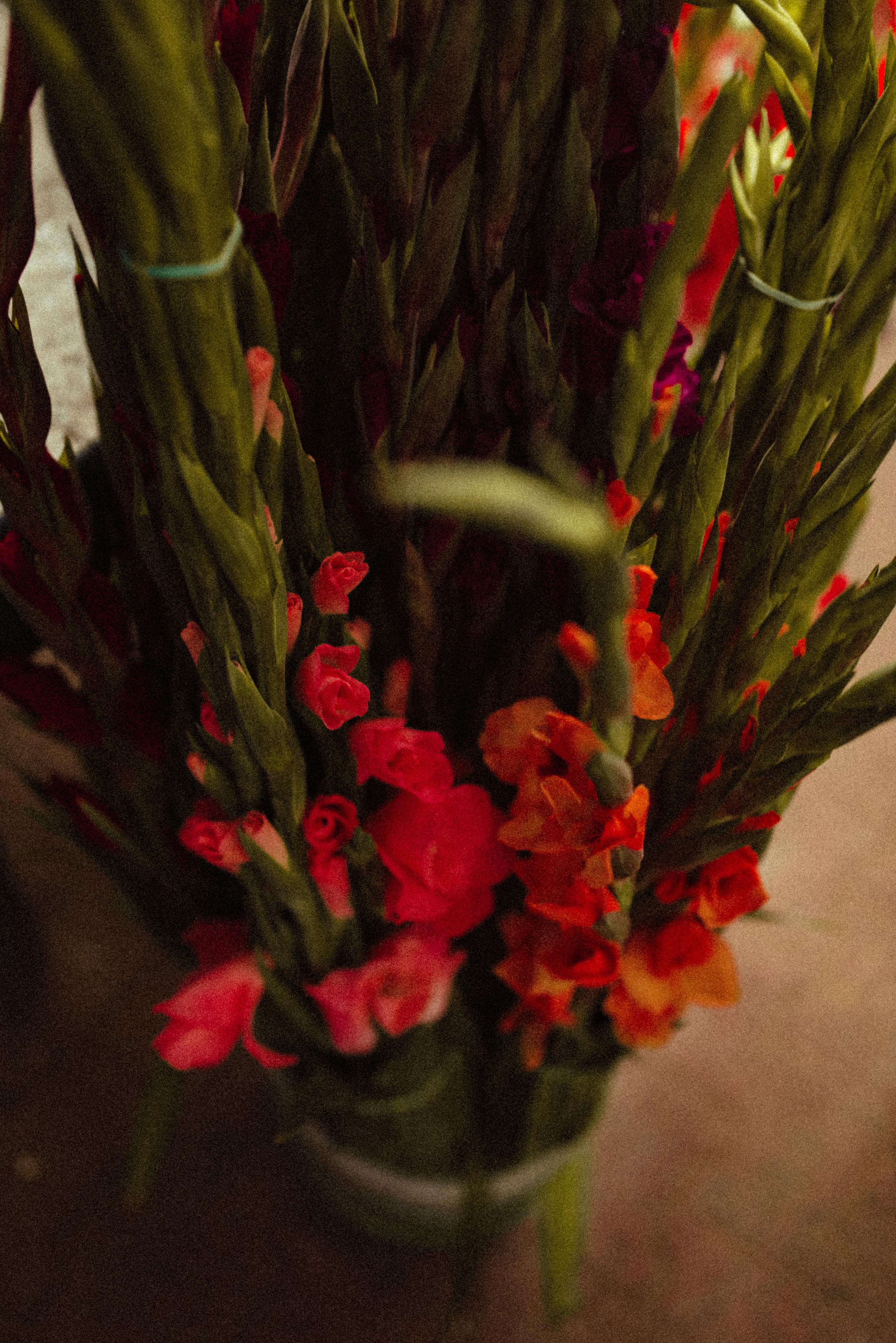 OLD MARKET KRAKÓW. FOTOGRAF Ryzhykova Valentyna Kraków Polska