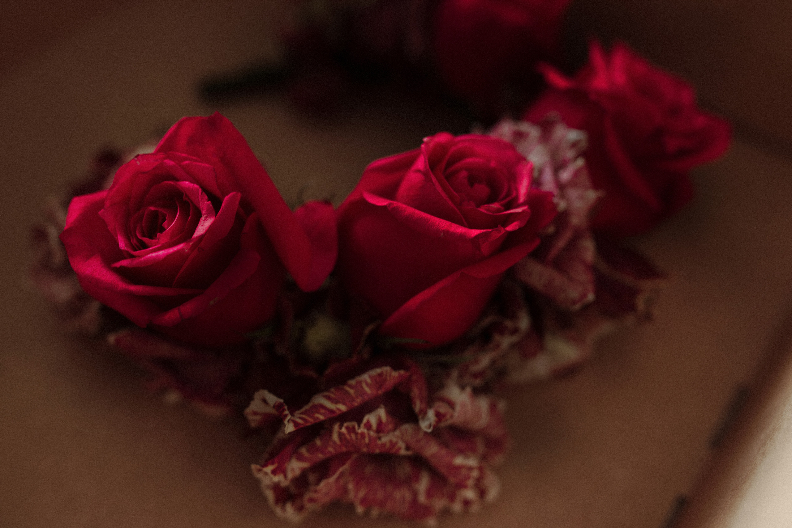 Roza & Dima Niepołomice. FOTOGRAF Ryzhykova Valentyna Kraków Polska