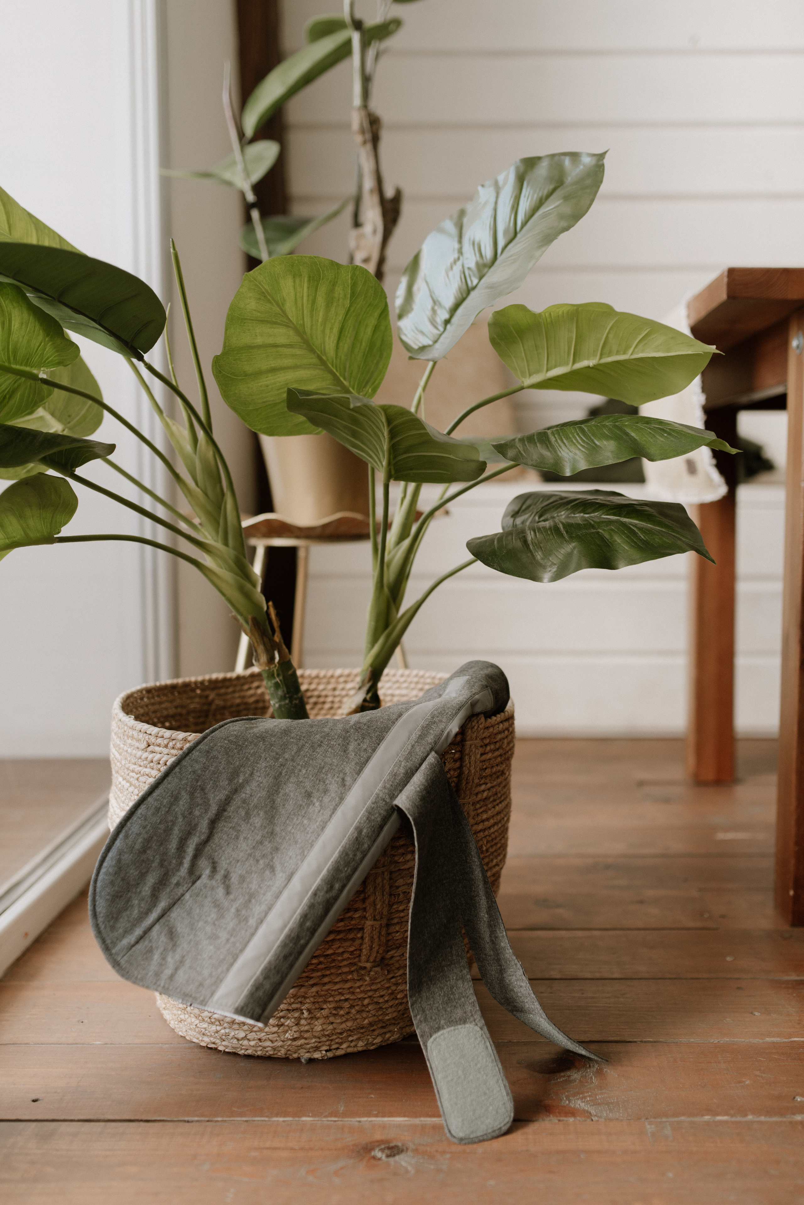 Petitemo.official. FOTOGRAF Ryzhykova Valentyna Kraków Polska