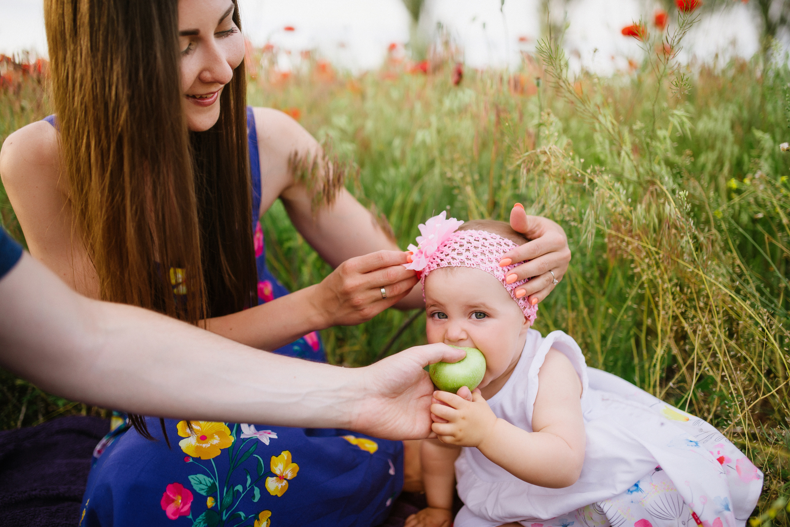 Poppy story. FOTOGRAF Ryzhykova Valentyna Kraków Polska