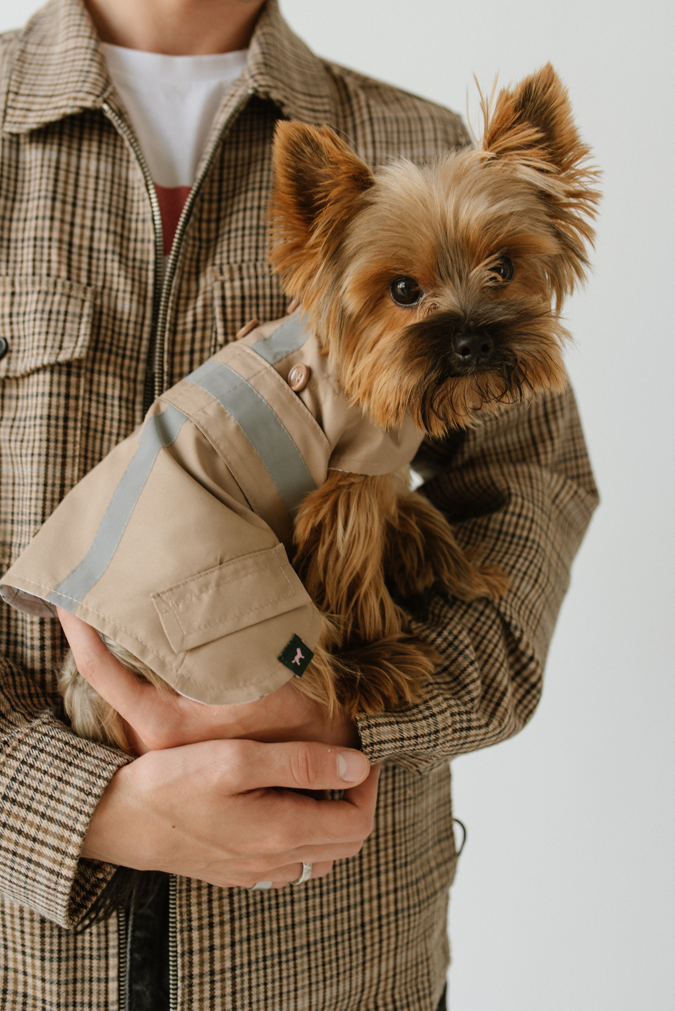 Petitemo.official. FOTOGRAF Ryzhykova Valentyna Kraków Polska