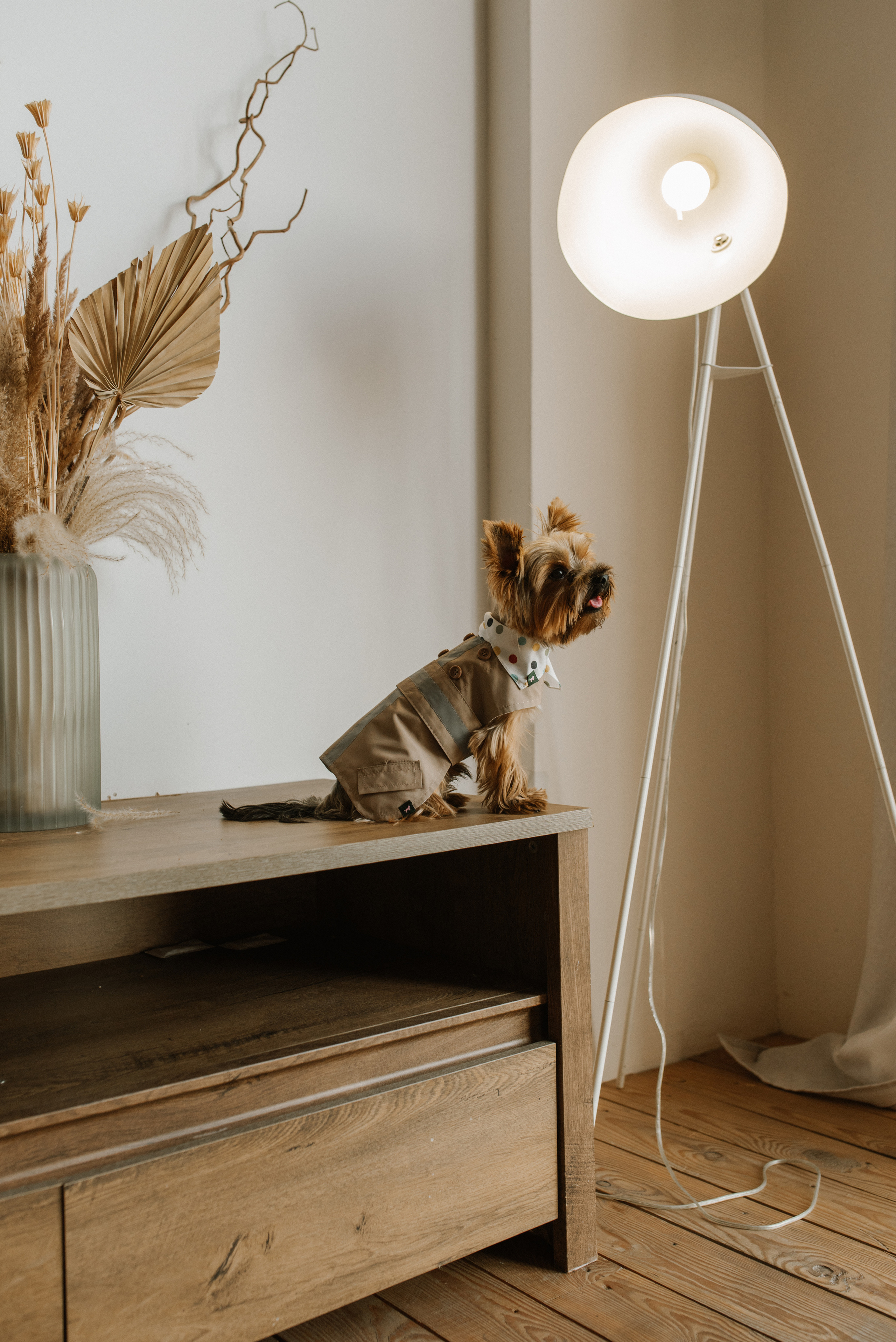 Petitemo.official. FOTOGRAF Ryzhykova Valentyna Kraków Polska