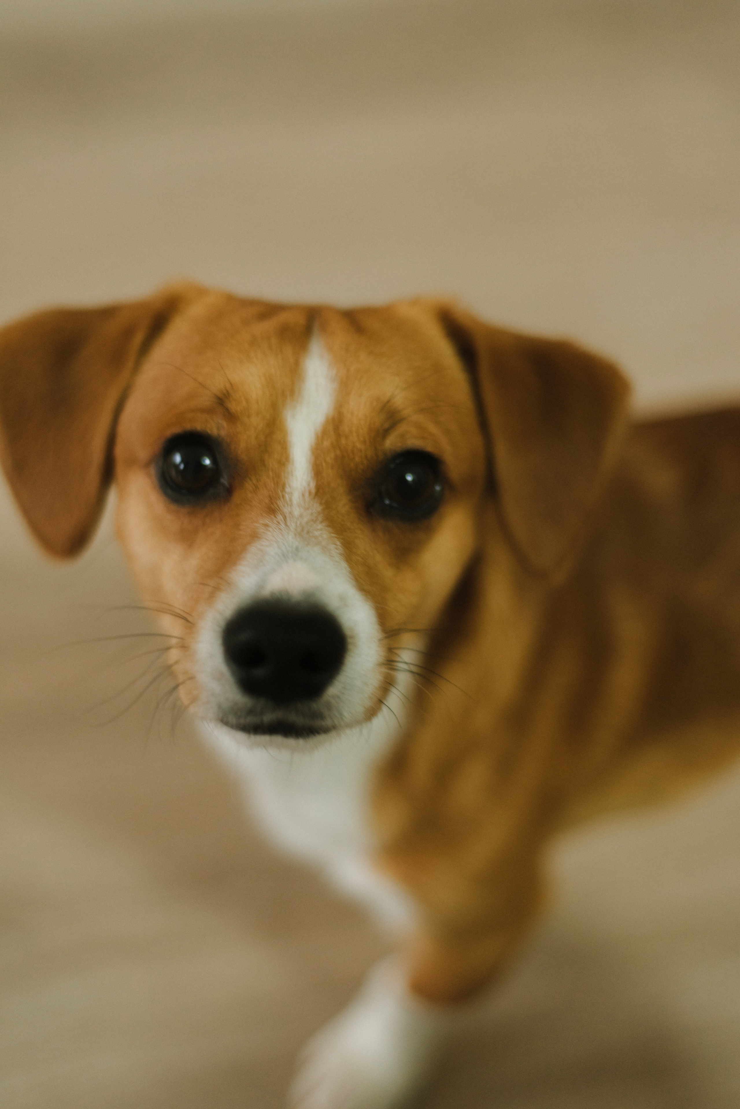 Marina & Misha. FOTOGRAF Ryzhykova Valentyna Kraków Polska