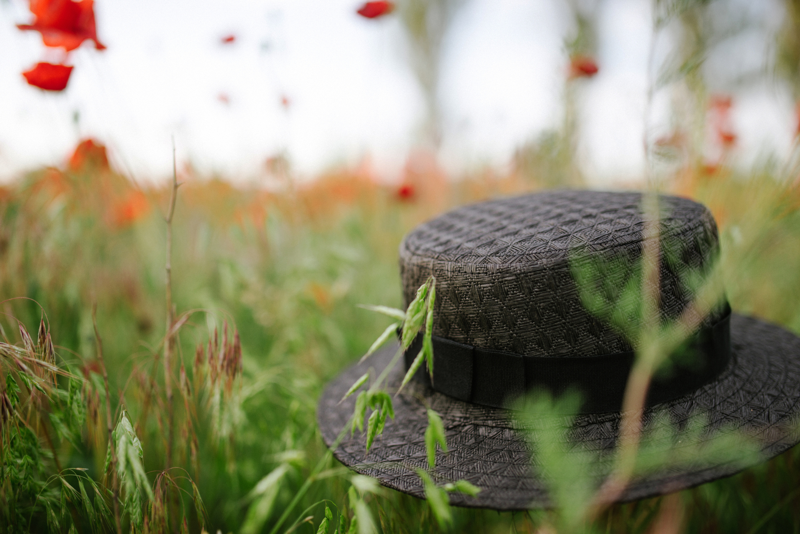 Poppy story. FOTOGRAF Ryzhykova Valentyna Kraków Polska