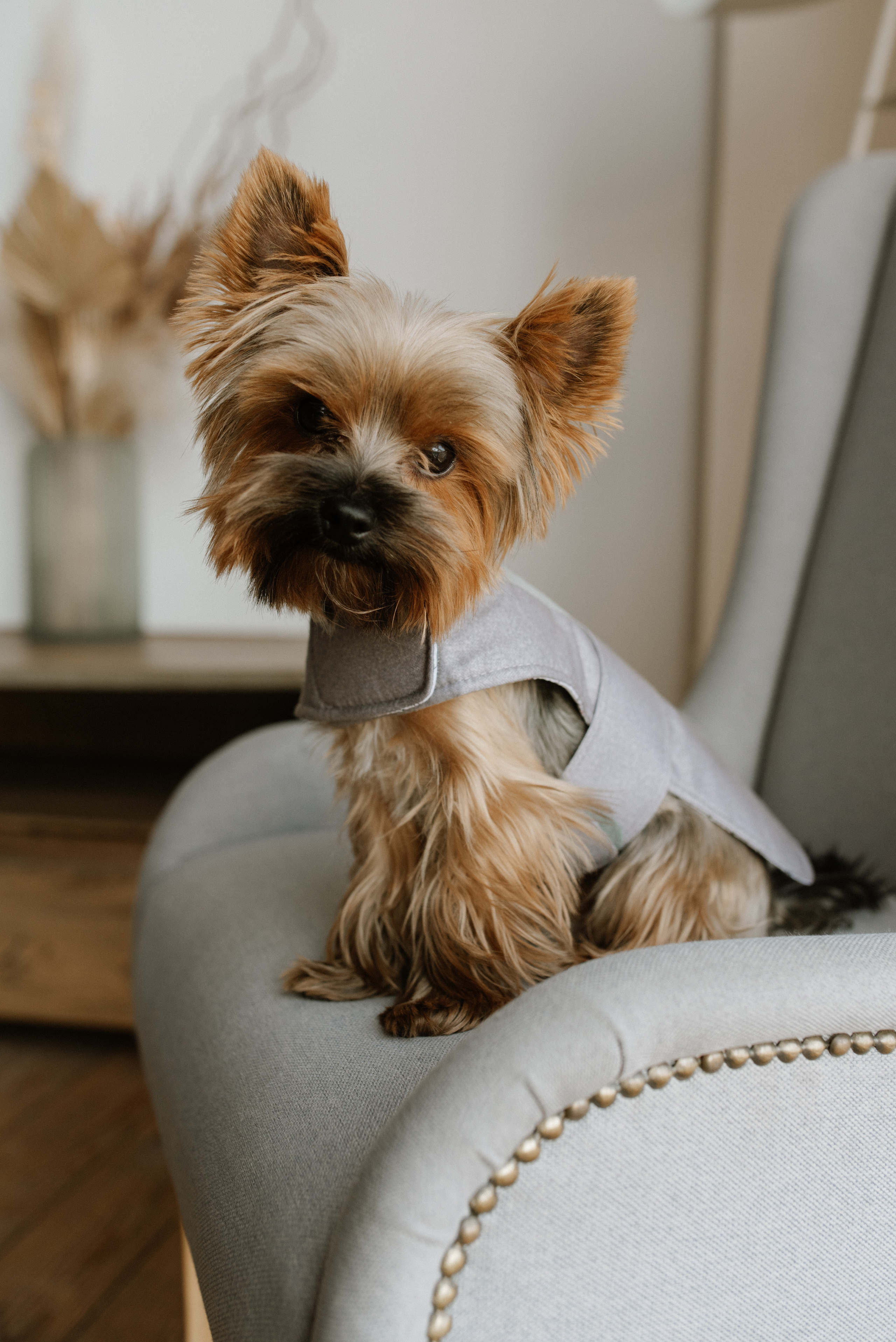 Petitemo.official. FOTOGRAF Ryzhykova Valentyna Kraków Polska