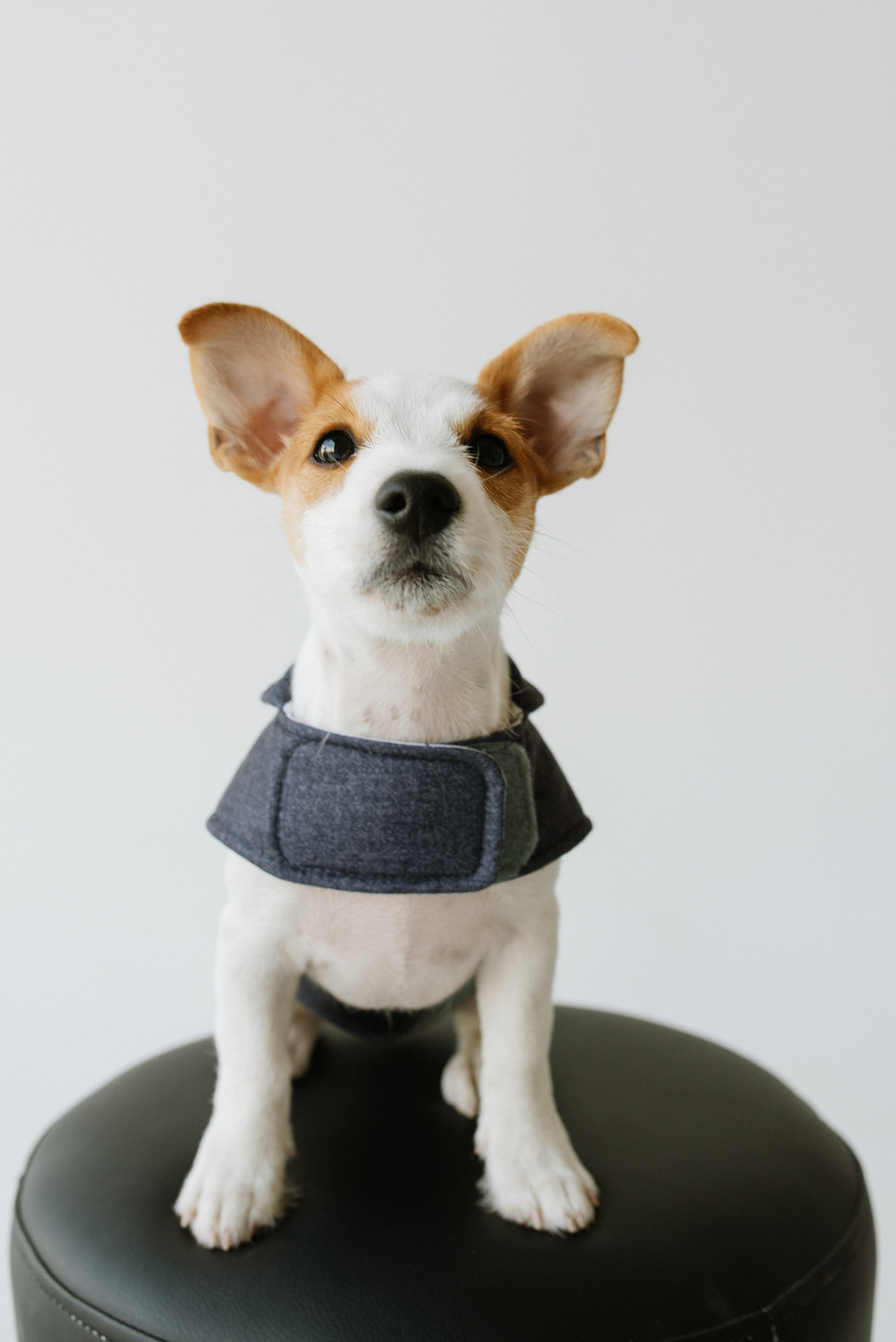 Petitemo.official. FOTOGRAF Ryzhykova Valentyna Kraków Polska