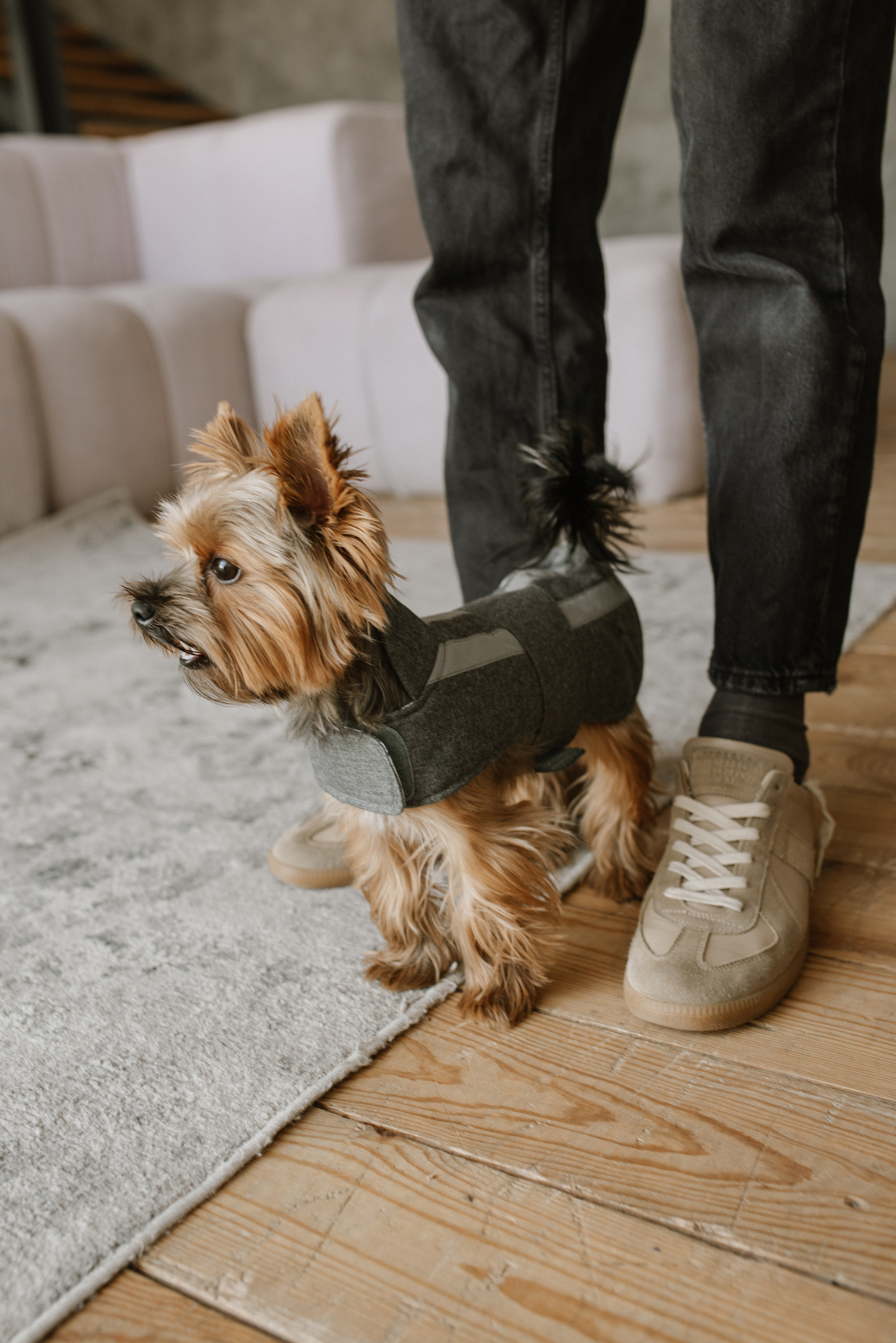 Petitemo.official. FOTOGRAF Ryzhykova Valentyna Kraków Polska