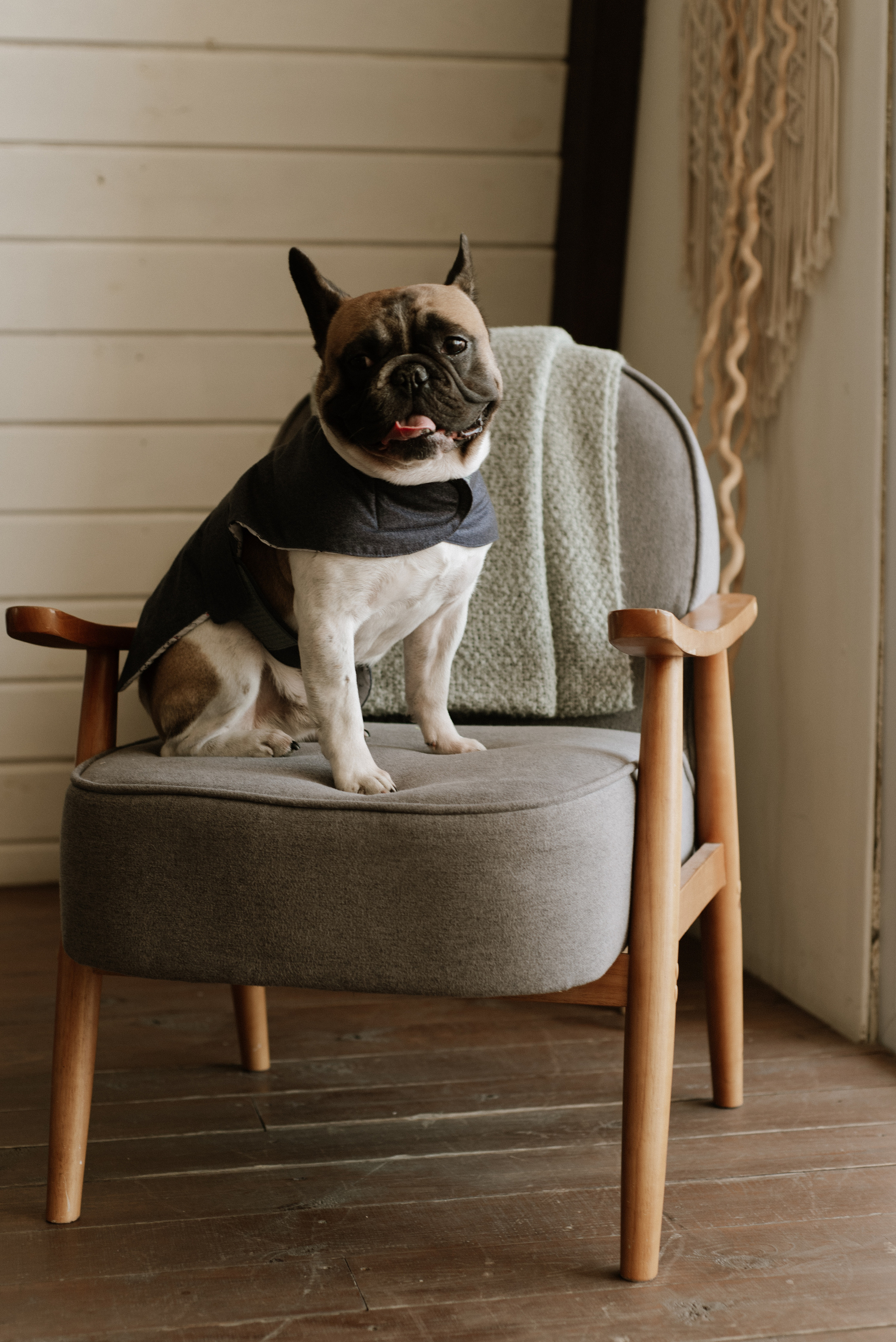 Petitemo.official. FOTOGRAF Ryzhykova Valentyna Kraków Polska