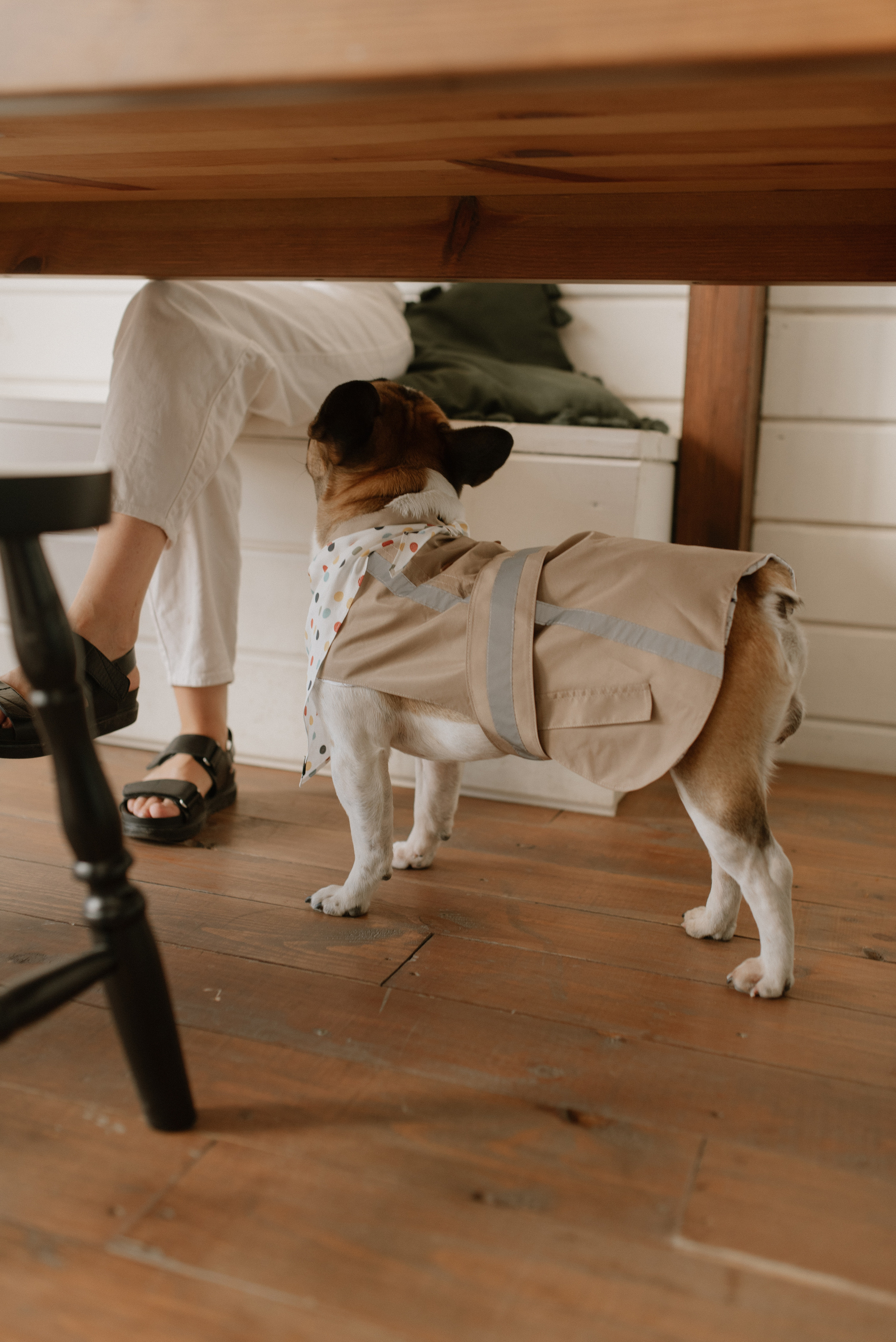 Petitemo.official. FOTOGRAF Ryzhykova Valentyna Kraków Polska