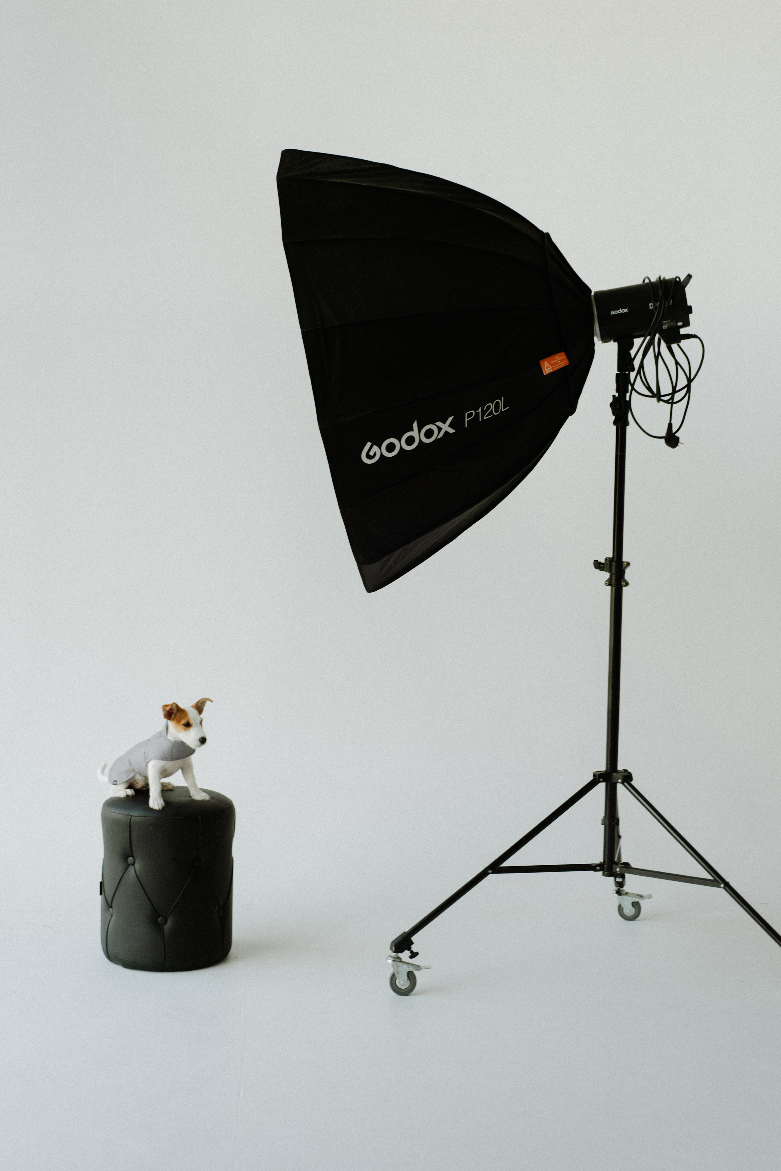 Petitemo.official. FOTOGRAF Ryzhykova Valentyna Kraków Polska