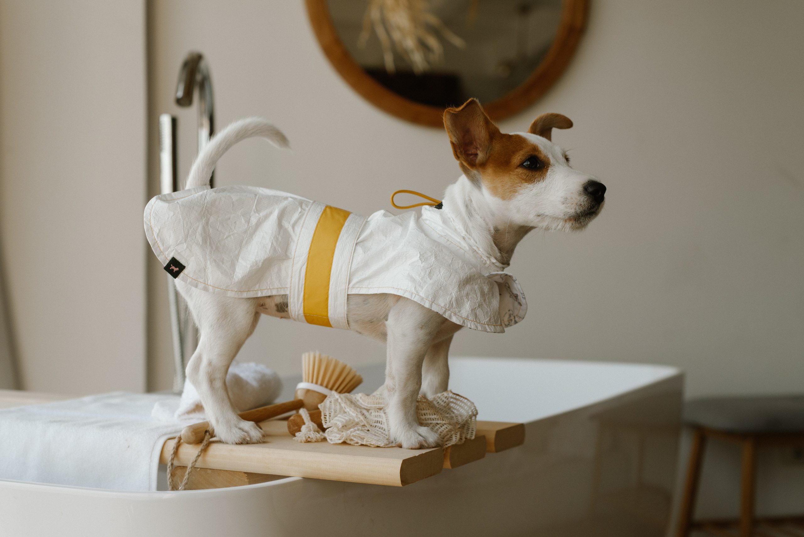 Petitemo.official. FOTOGRAF Ryzhykova Valentyna Kraków Polska