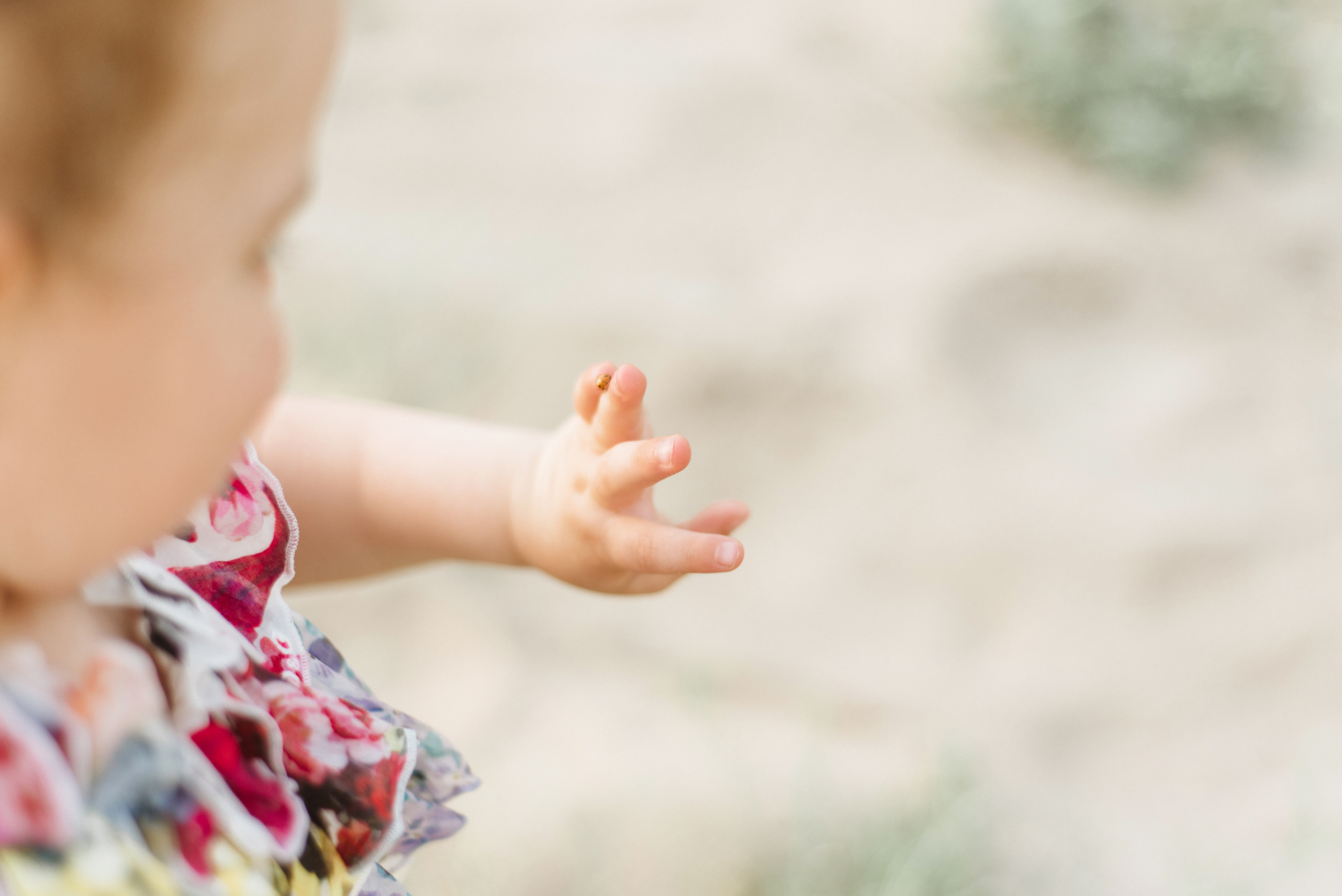 семейная съемка фотосессия фотограф киев украина фотосессия на природе фотограф украина family photo tradional photosession nature summer 