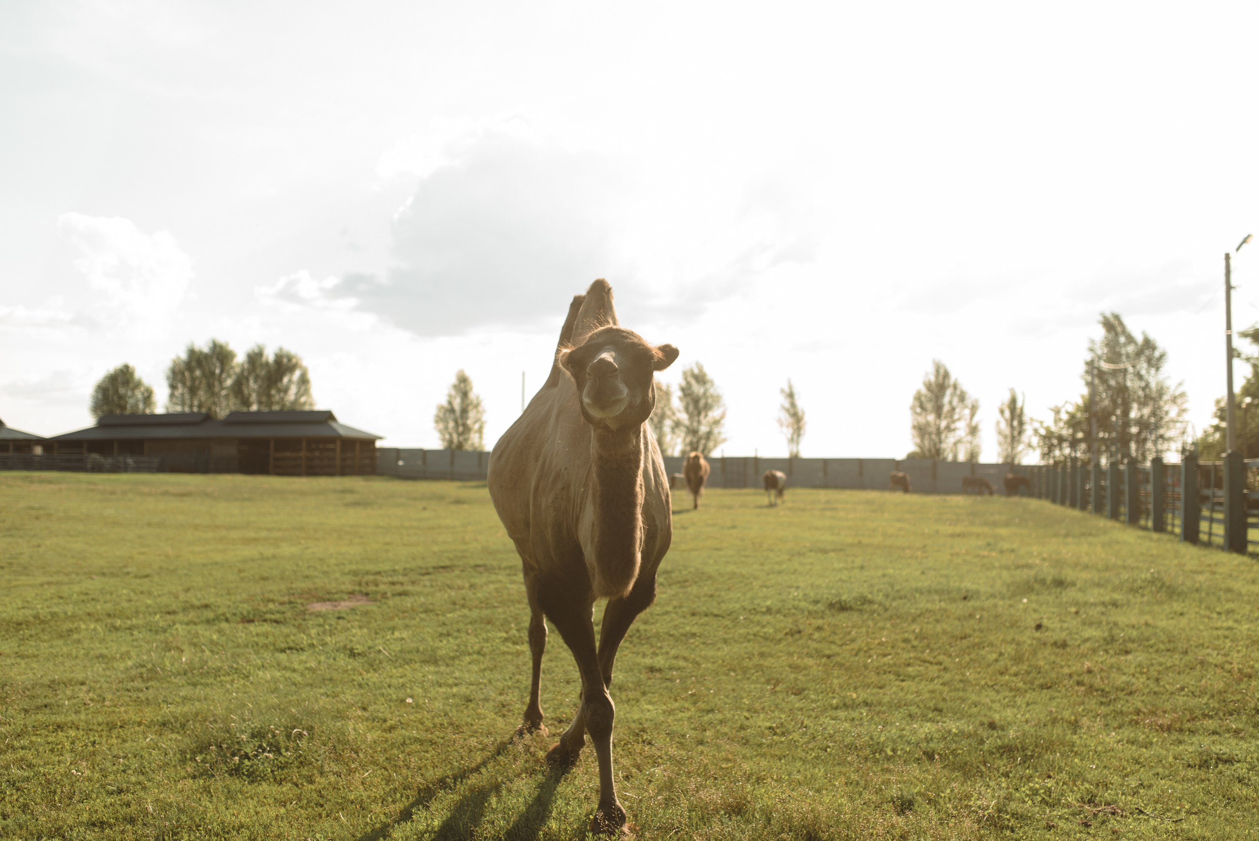 Fаshion story для украинского журнала JOY. FOTOGRAF Ryzhykova Valentyna Kraków Polska