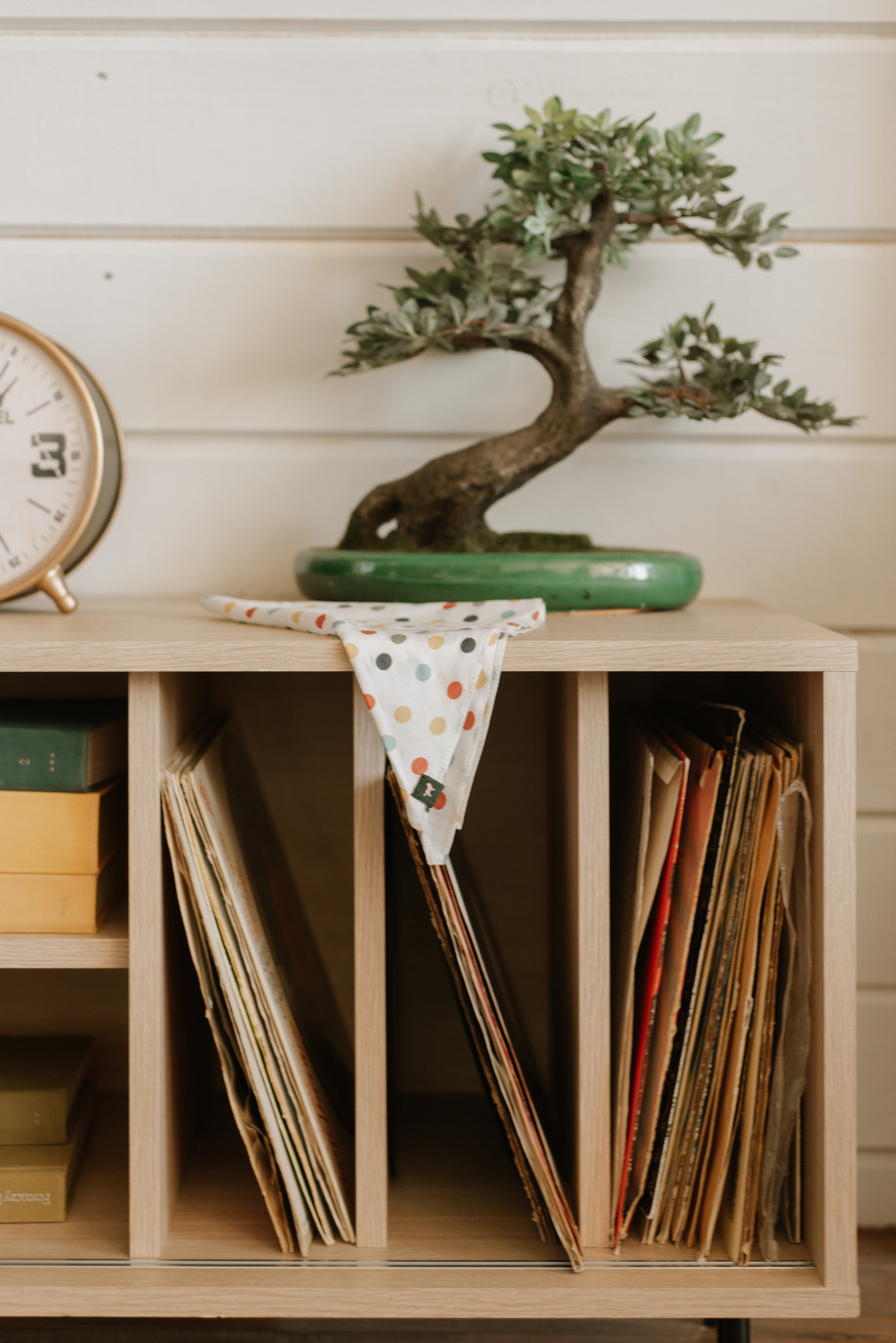 Petitemo.official. FOTOGRAF Ryzhykova Valentyna Kraków Polska