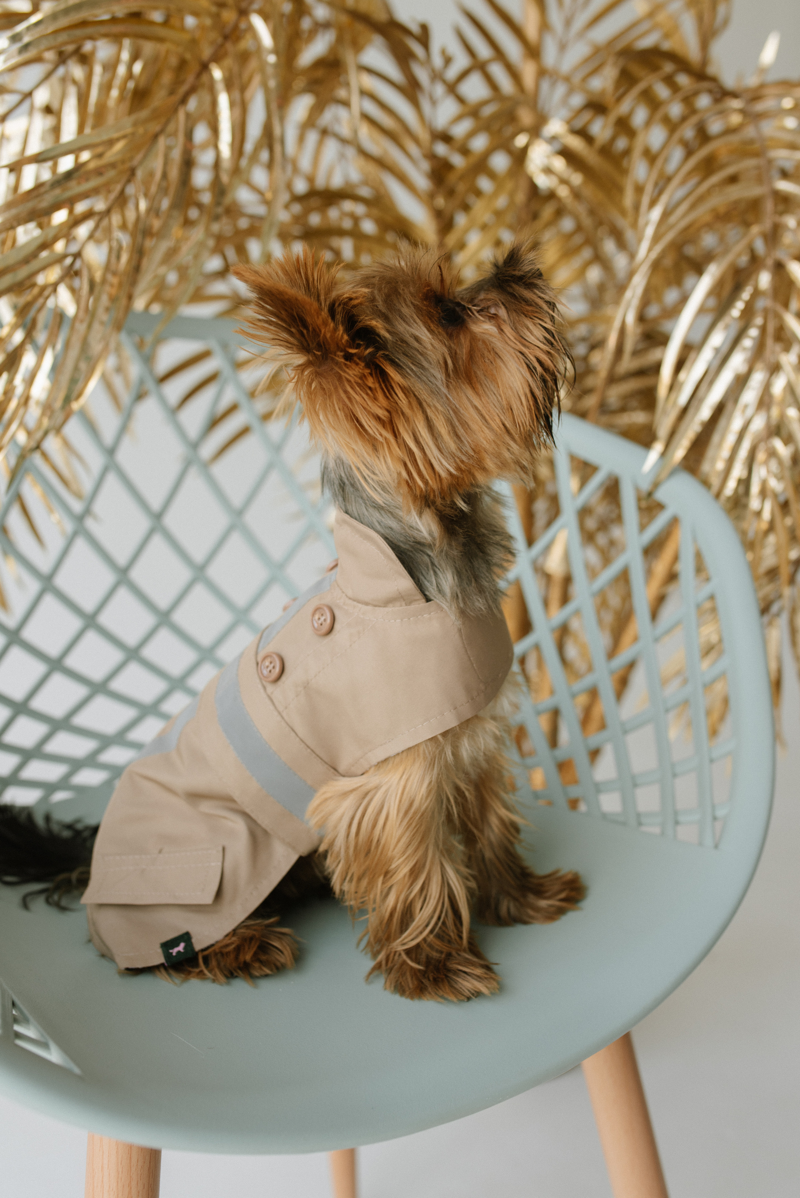 Petitemo.official. FOTOGRAF Ryzhykova Valentyna Kraków Polska