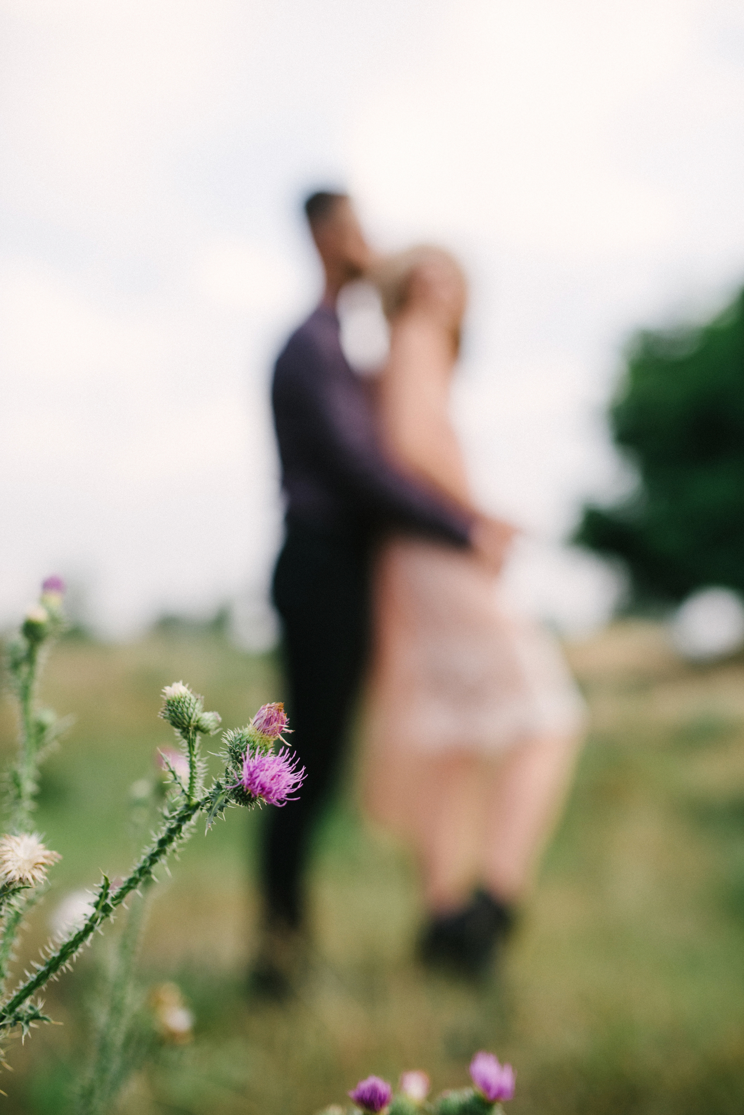 Lovely. FOTOGRAF Ryzhykova Valentyna Kraków Polska