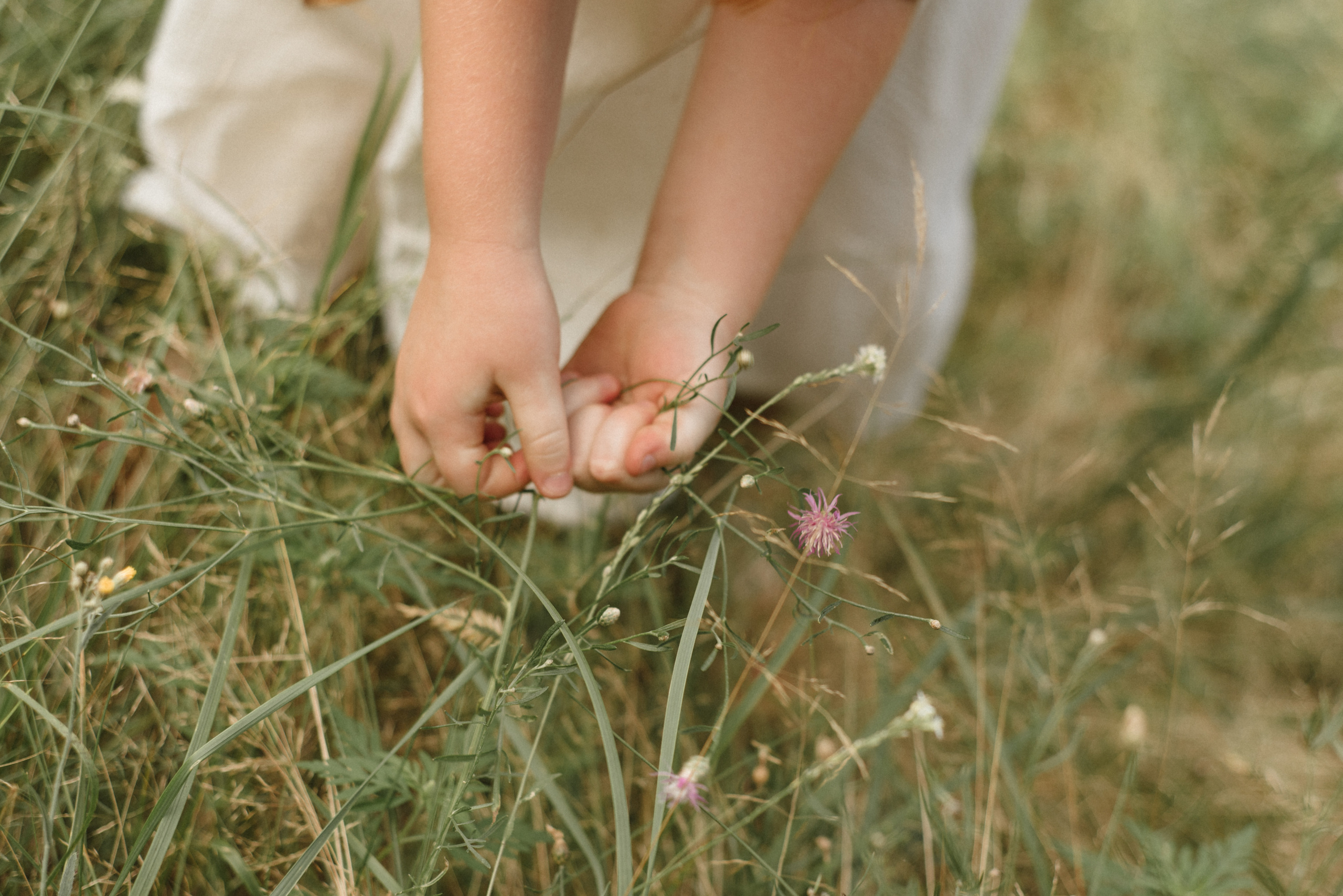 Семейная фотосессия в лесу. FOTOGRAF Ryzhykova Valentyna Kraków Polska