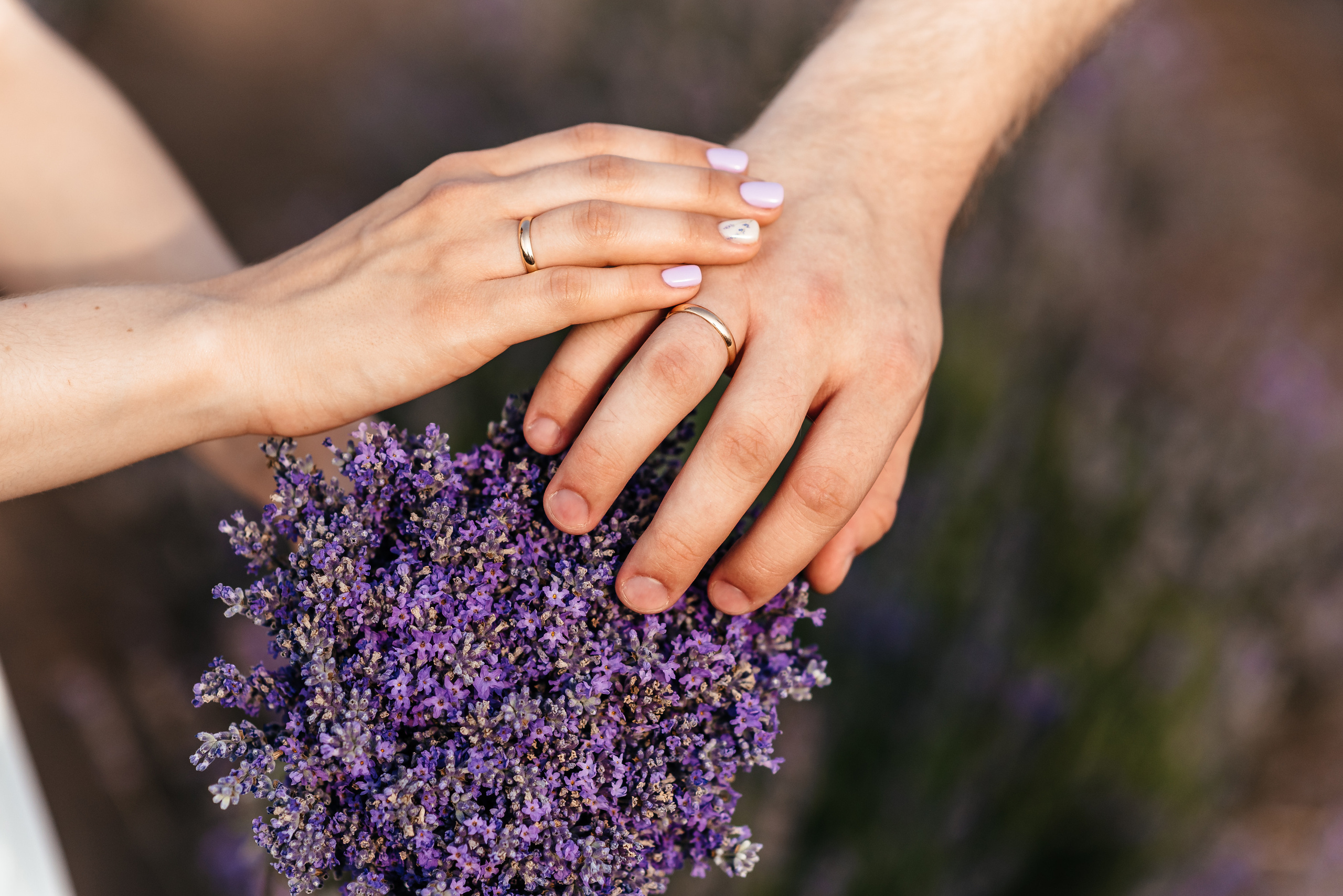 Лаванда. Весільний та сімейний фотограф Україна