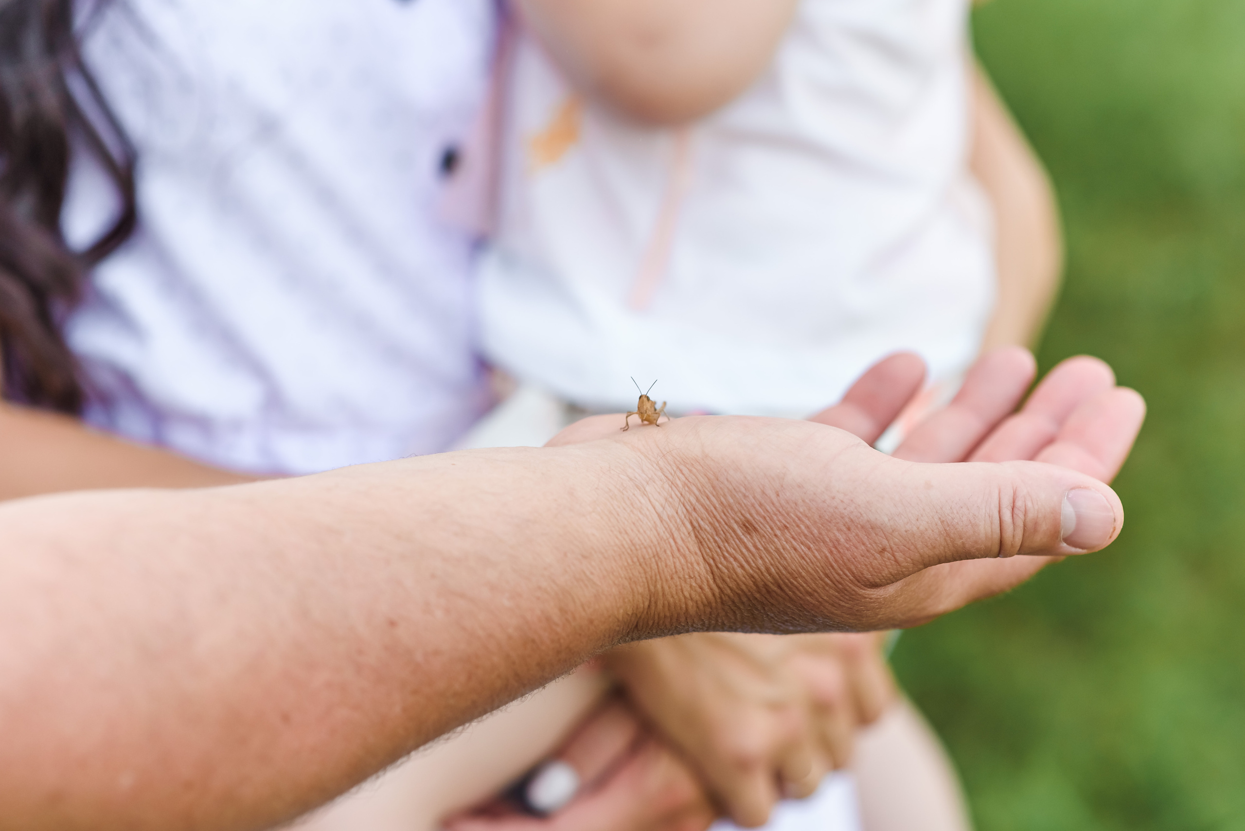 Сімейна. Весільний та сімейний фотограф Україна