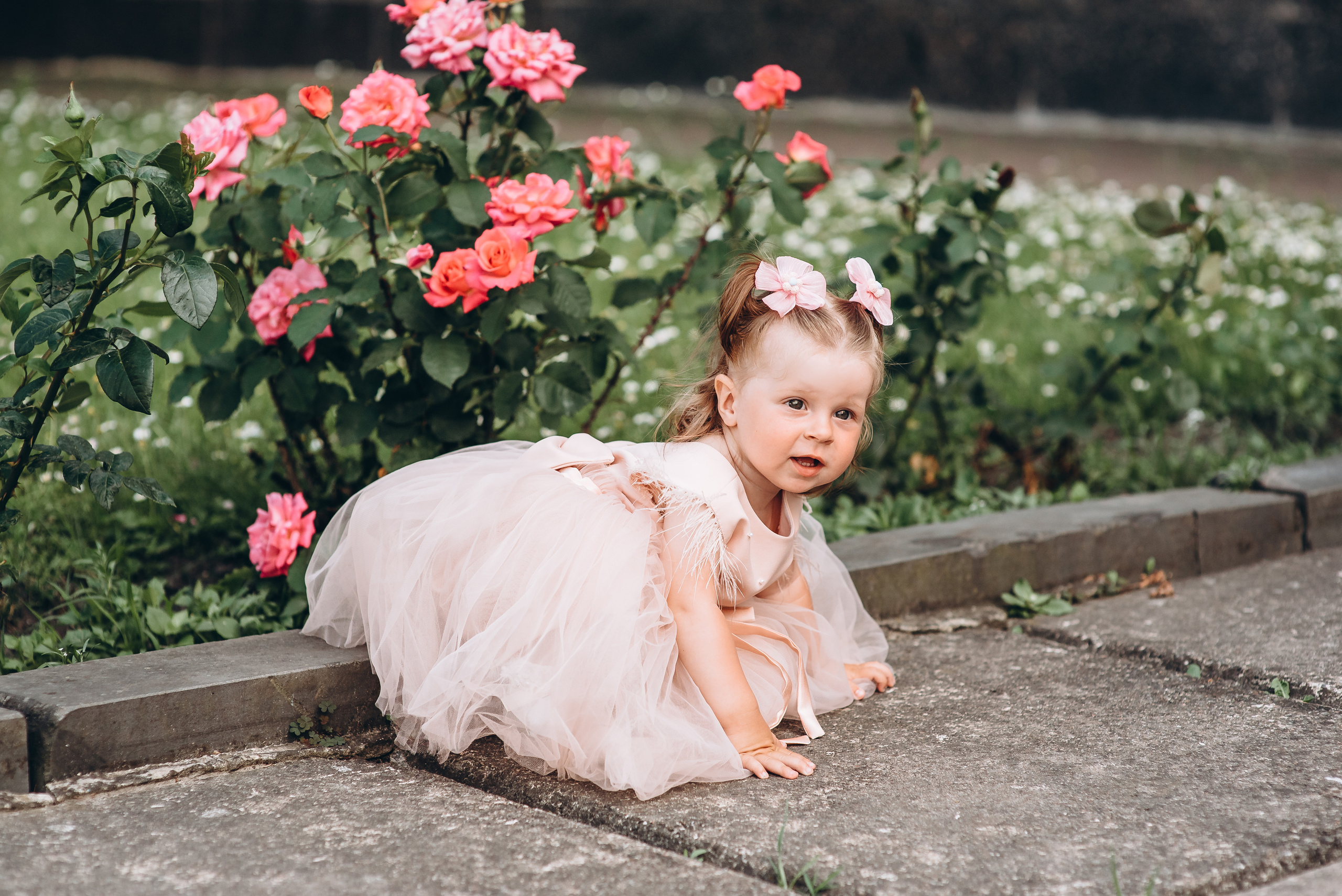 День народження. Весільний та сімейний фотограф Україна