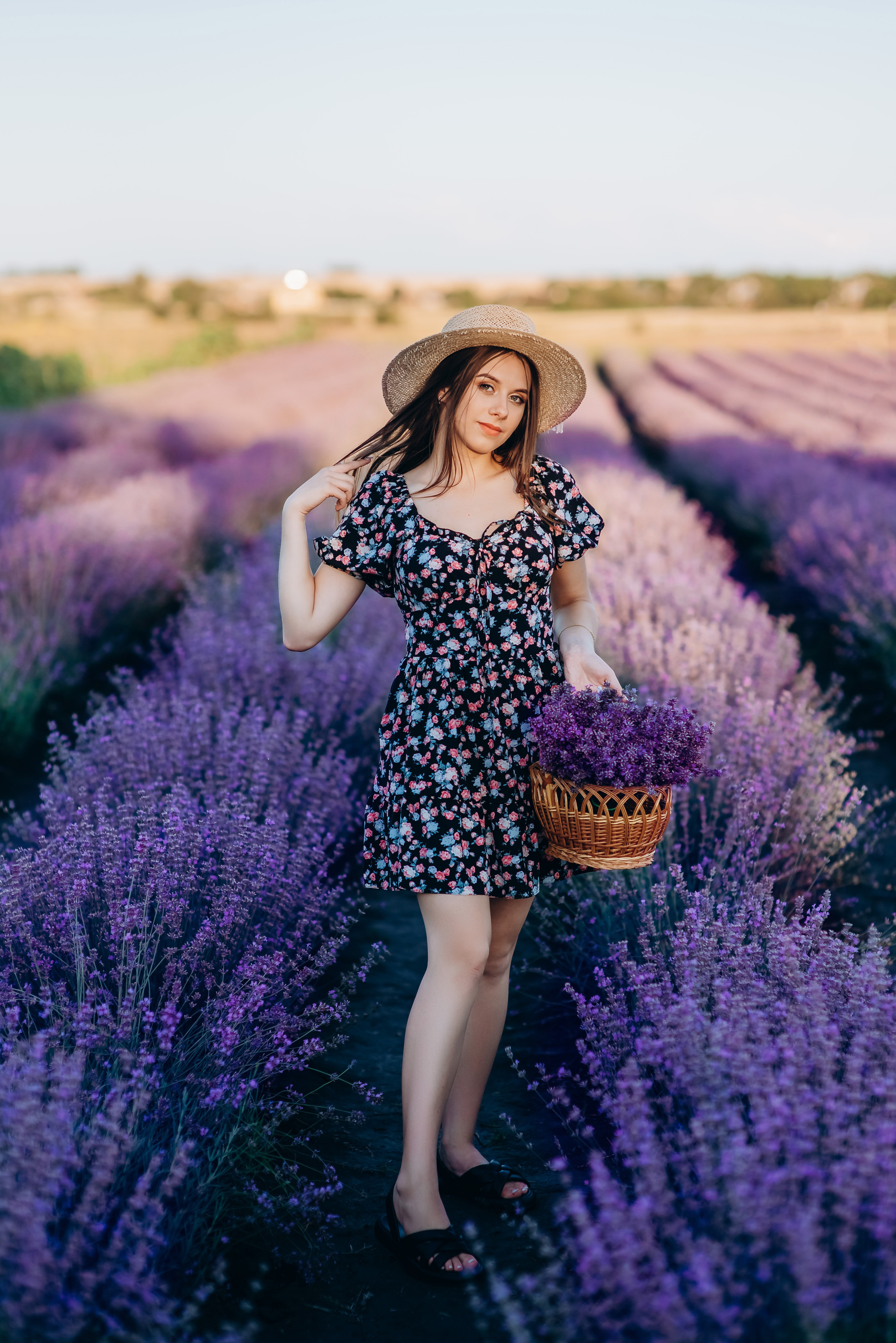 Таня і Діма лаванда. Весільний та сімейний фотограф Україна