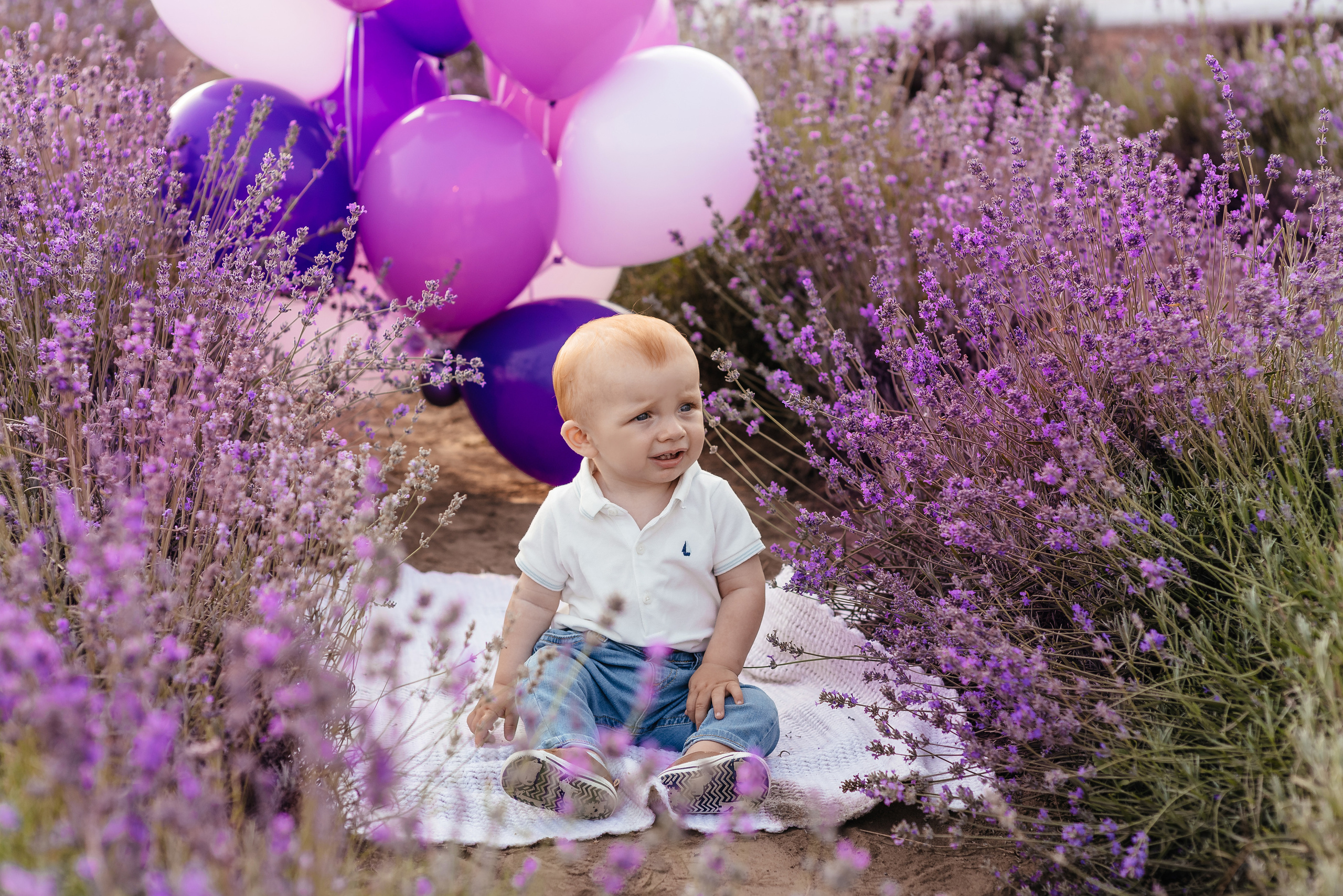 Лаванда. Весільний та сімейний фотограф Україна