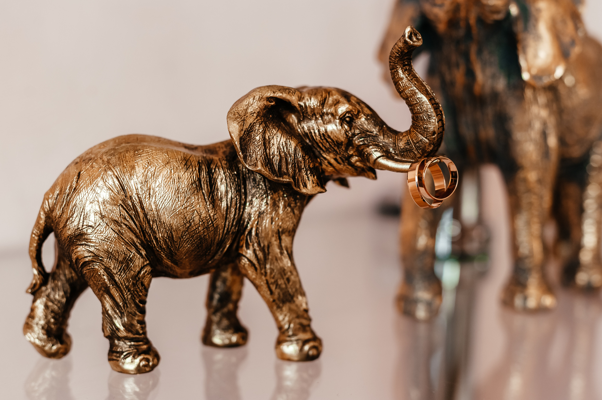 Юлія та Сергій (анонс). Весільний та сімейний фотограф Україна