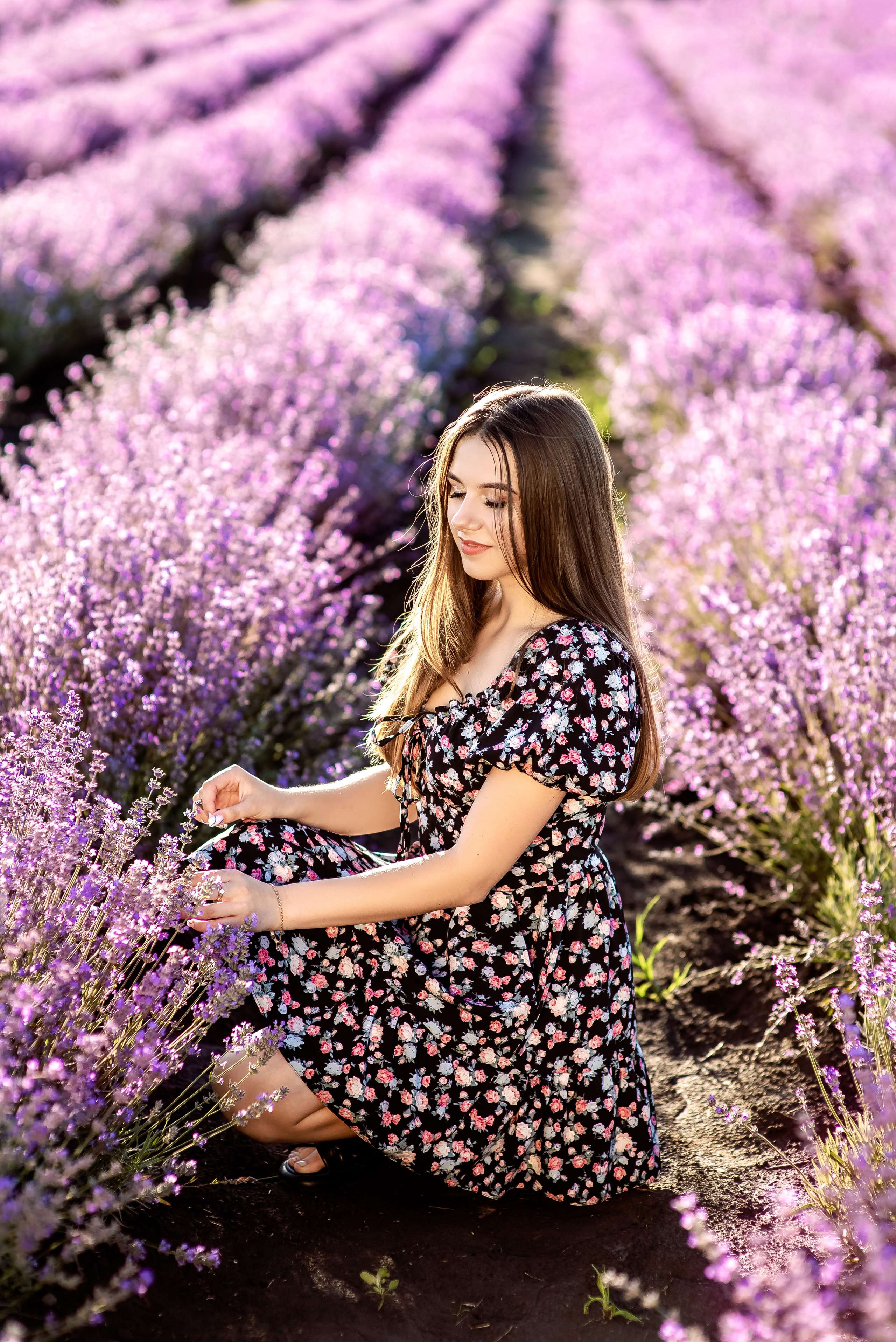 Таня і Діма лаванда. Весільний та сімейний фотограф Україна