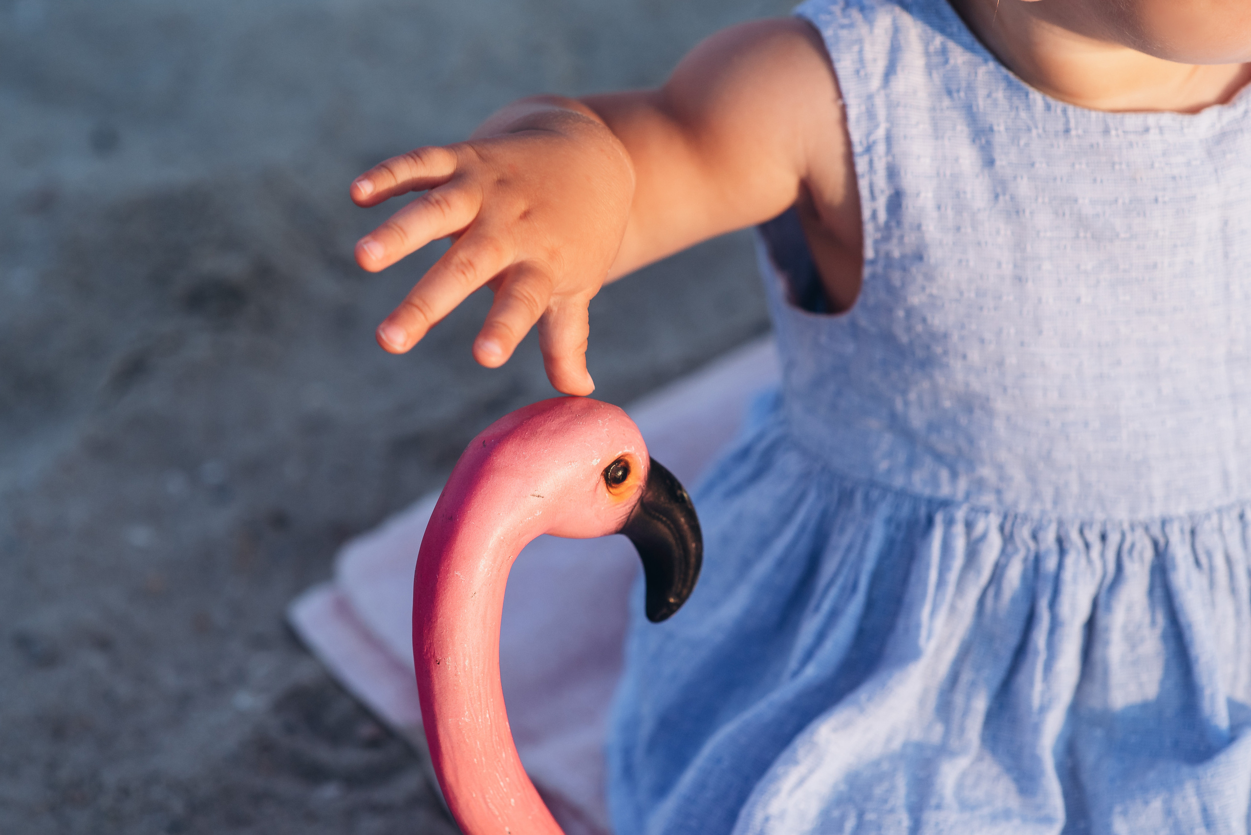 День народження. Весільний та сімейний фотограф Україна