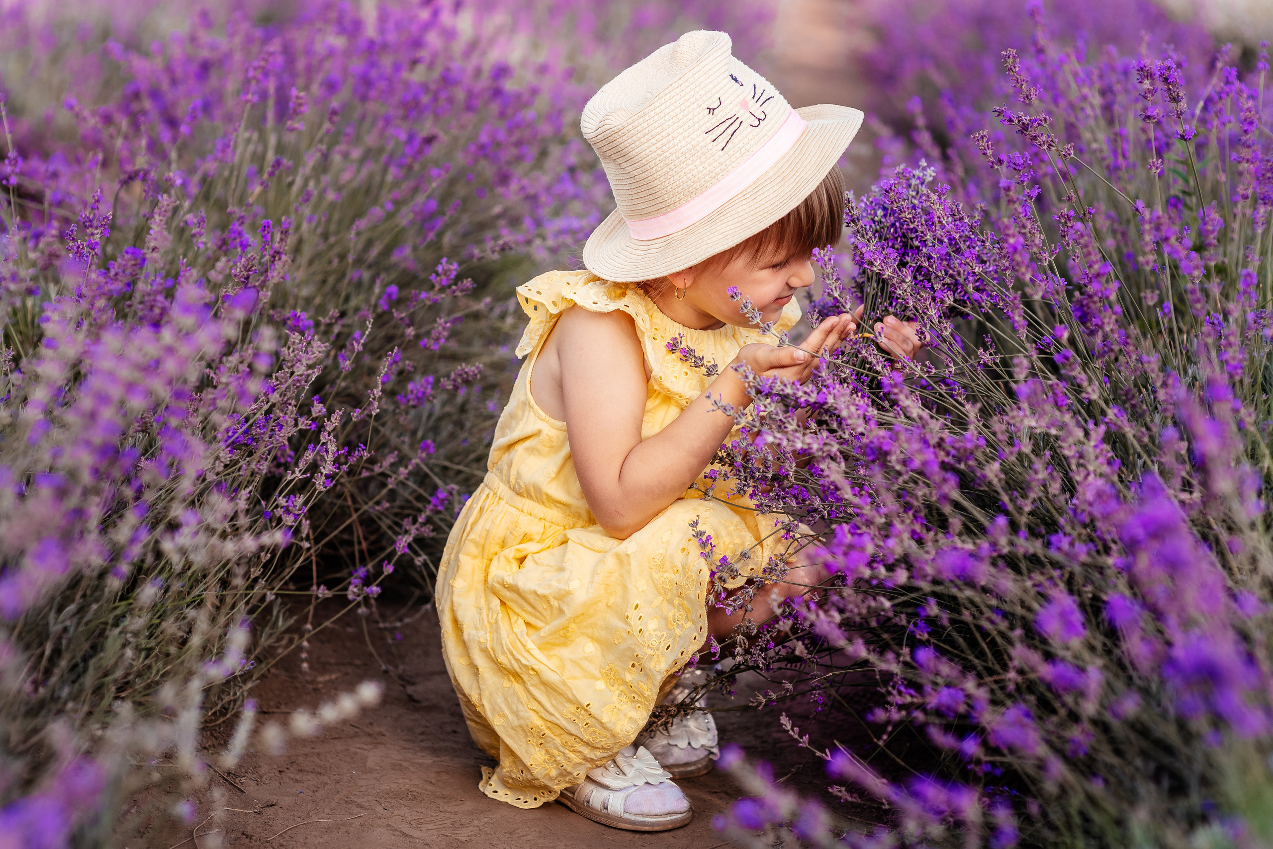 Лаванда. Весільний та сімейний фотограф Україна