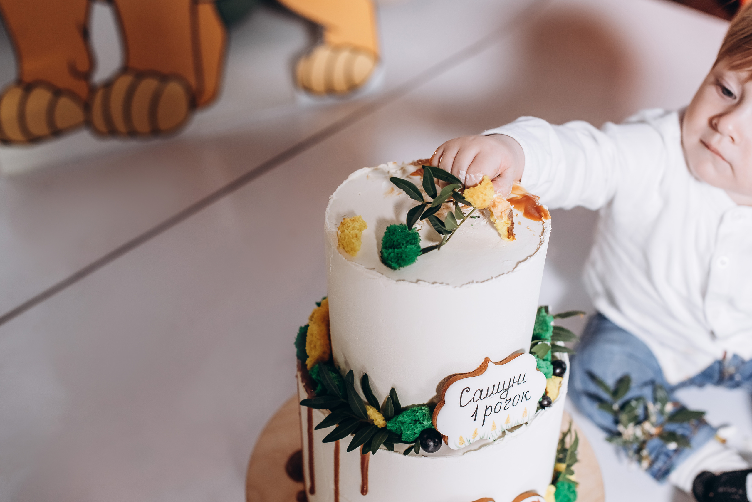 День народження. Весільний та сімейний фотограф Україна