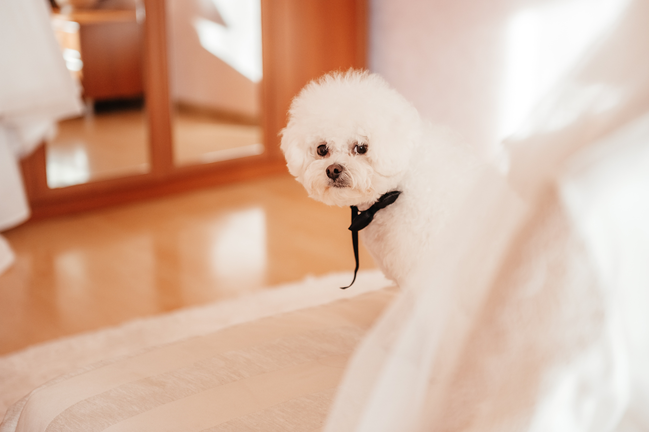 Юлія та Сергій (анонс). Весільний та сімейний фотограф Україна