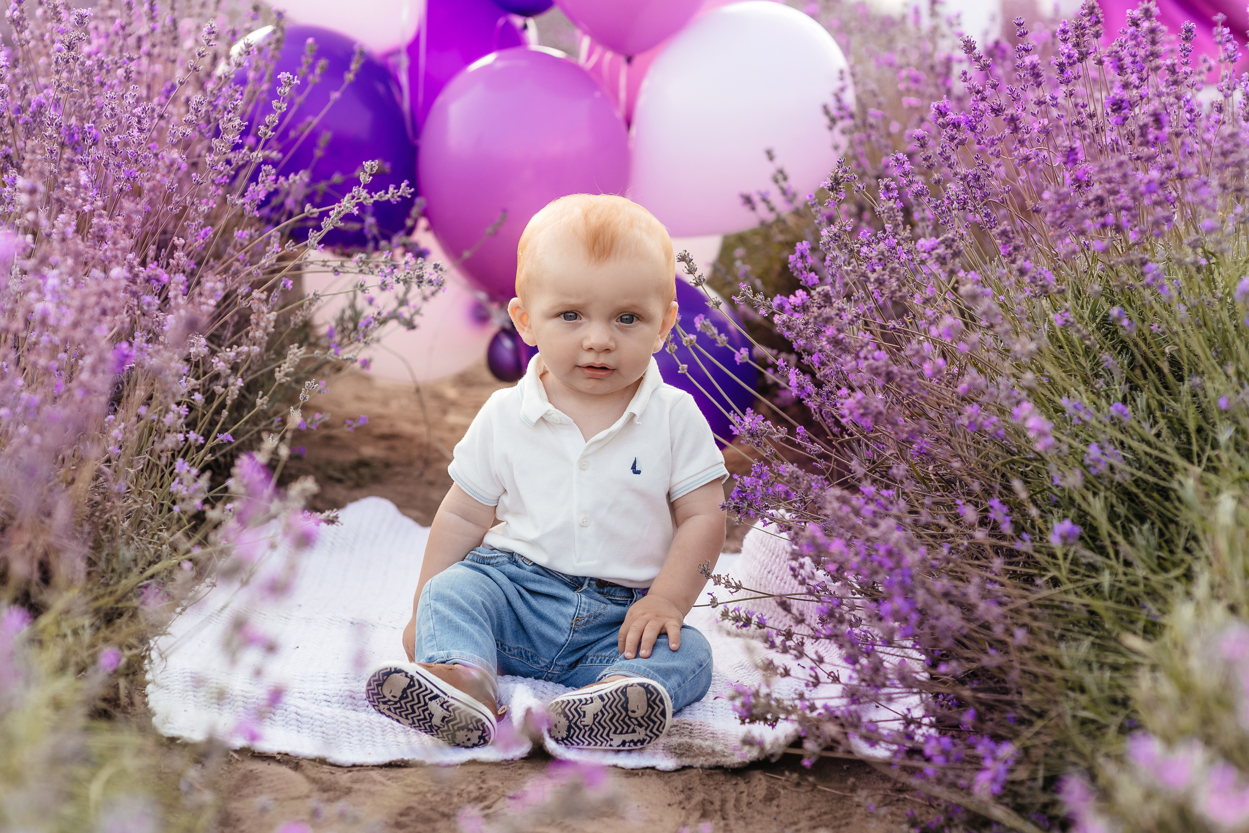 Лаванда. Весільний та сімейний фотограф Україна