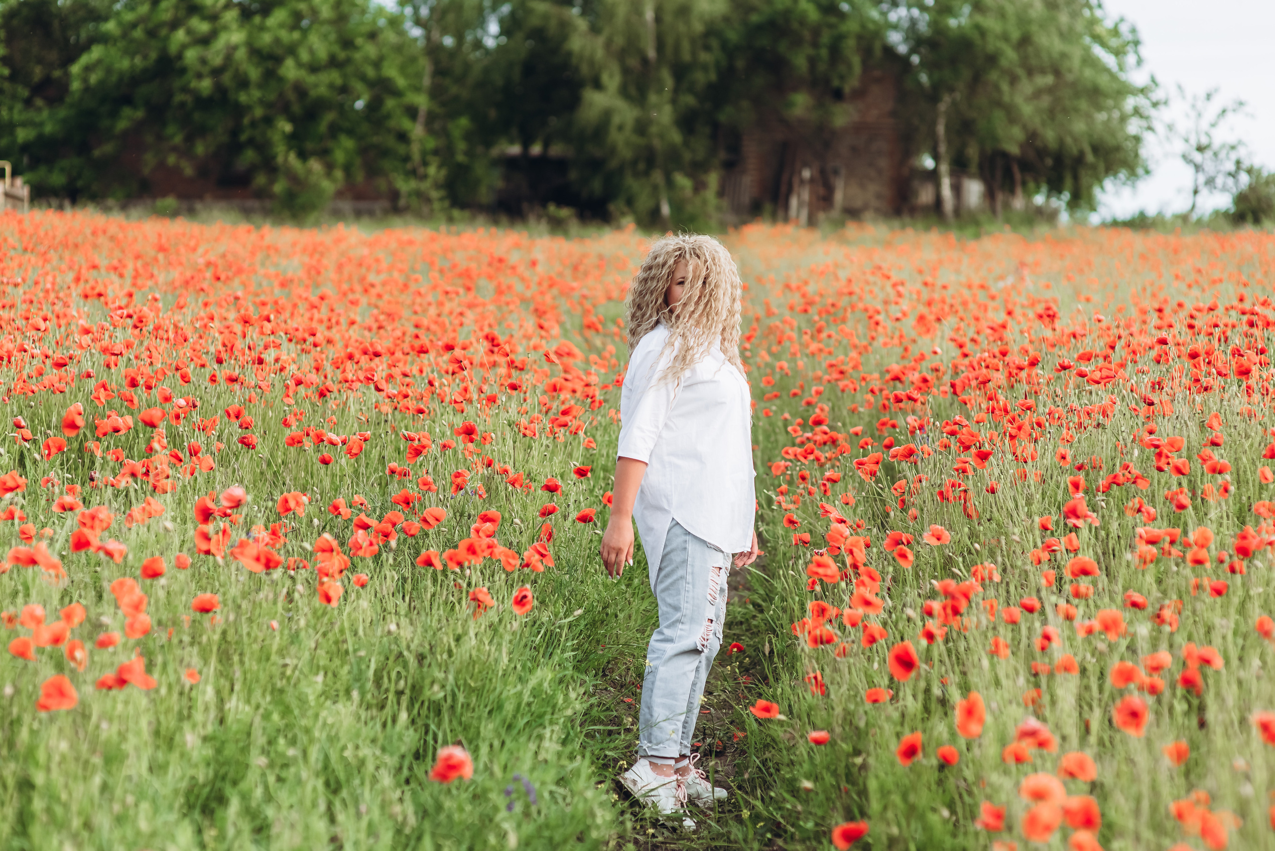 Маки. Весільний та сімейний фотограф Україна