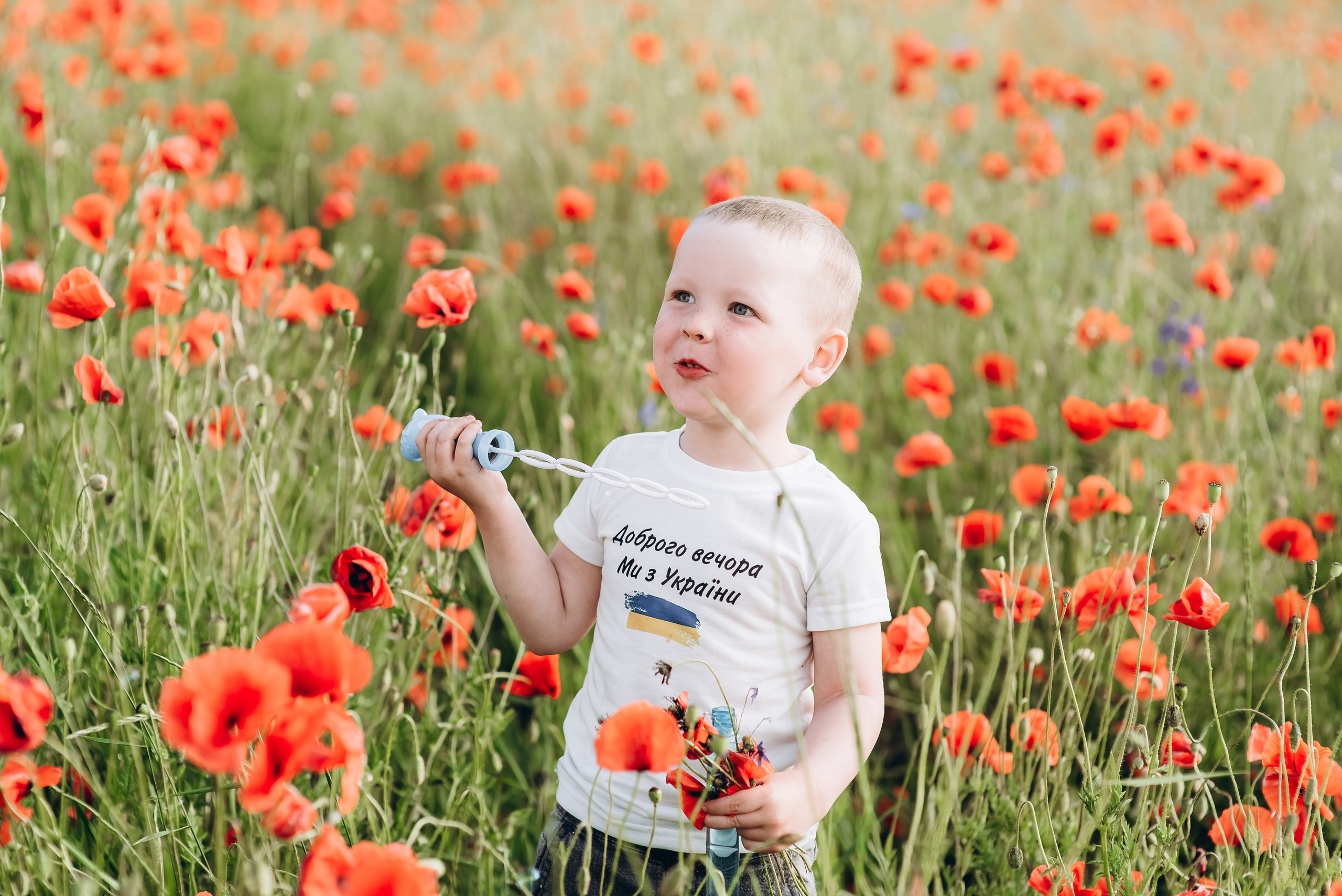 Маки. Весільний та сімейний фотограф Україна