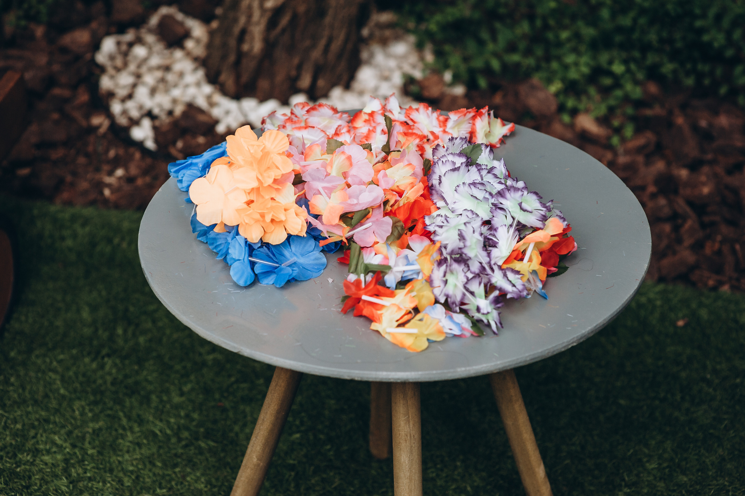 Вечірка Каті Бльостки. Весільний та сімейний фотограф Україна