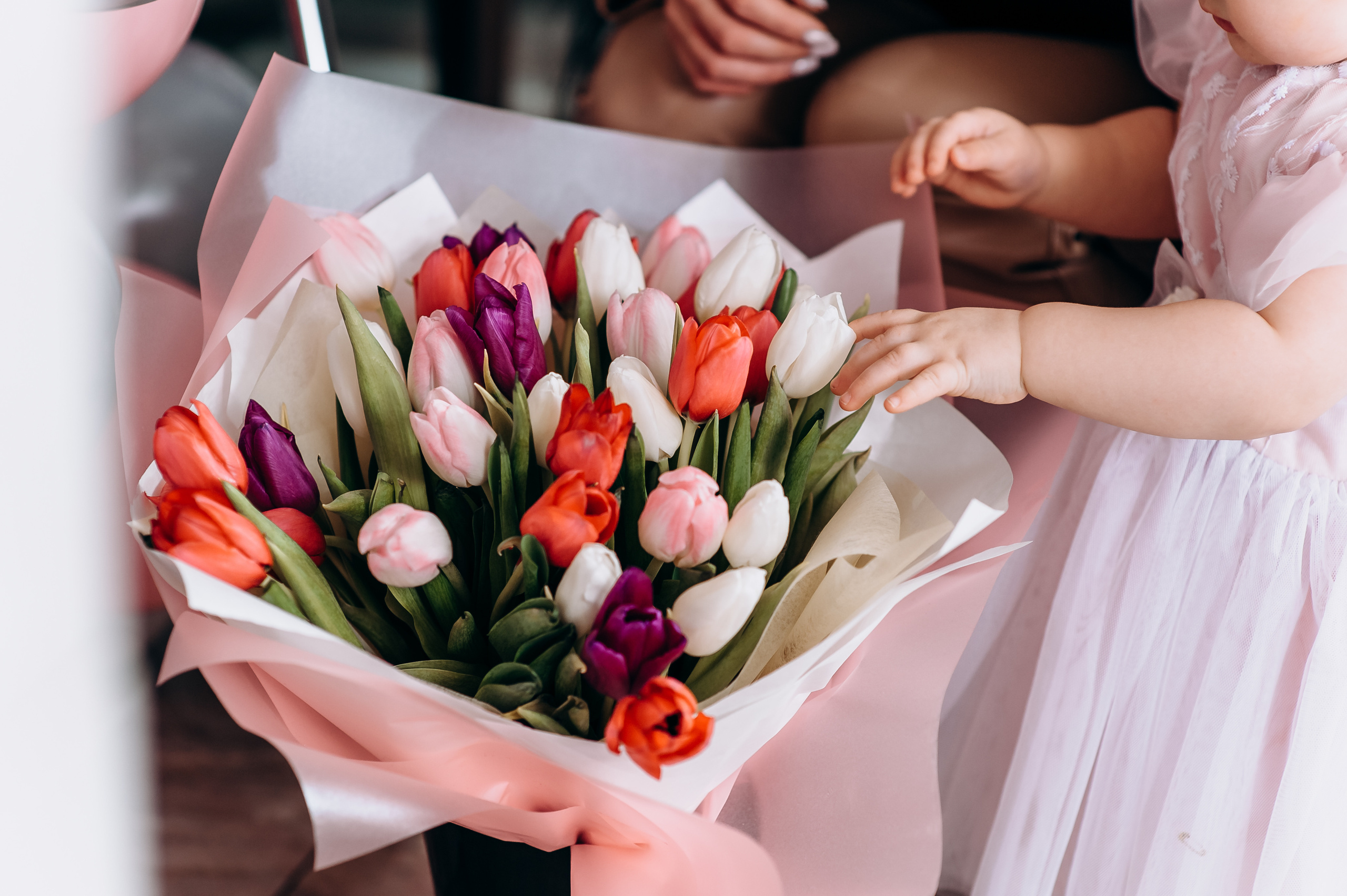 День народження. Весільний та сімейний фотограф Україна