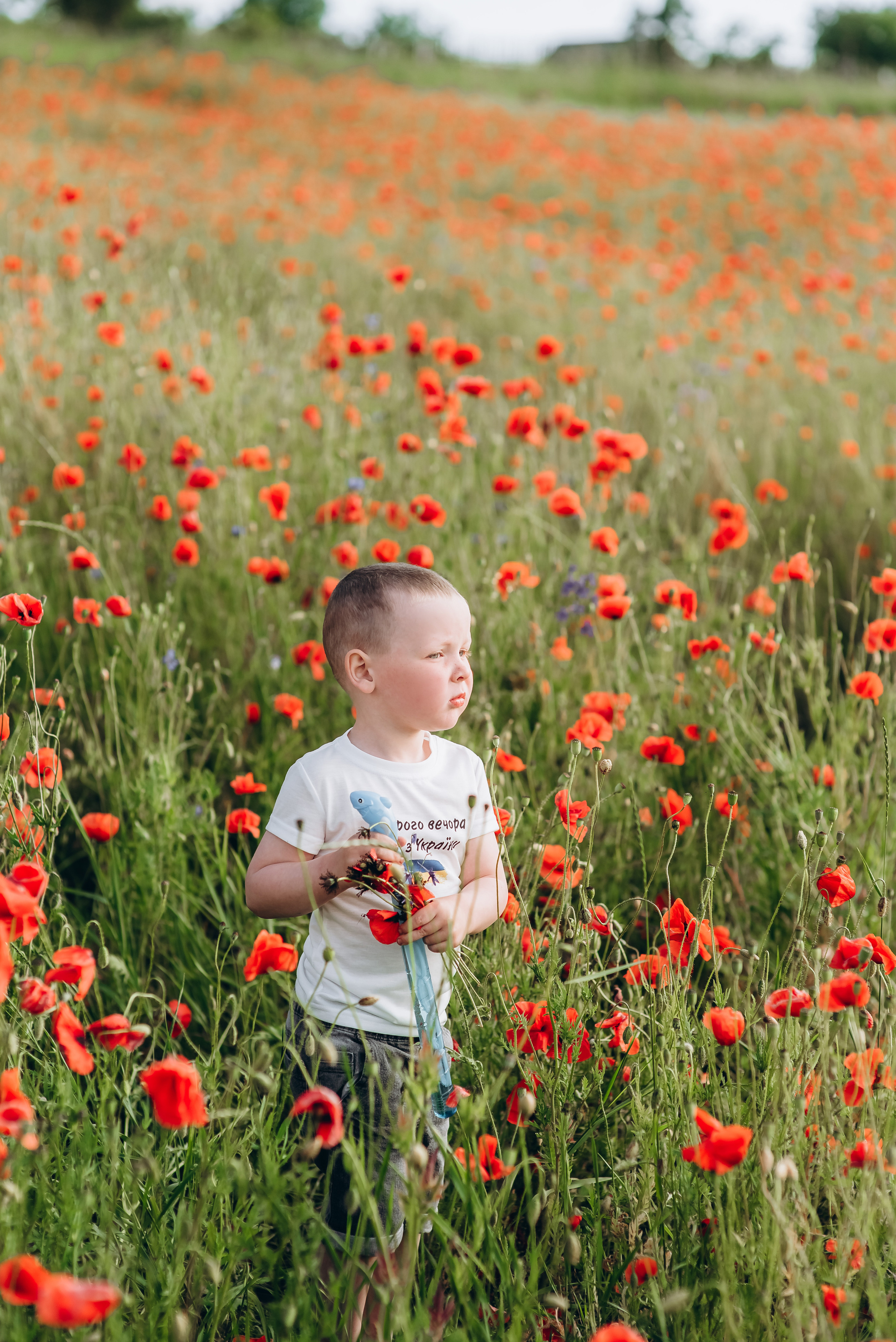 Маки. Весільний та сімейний фотограф Україна