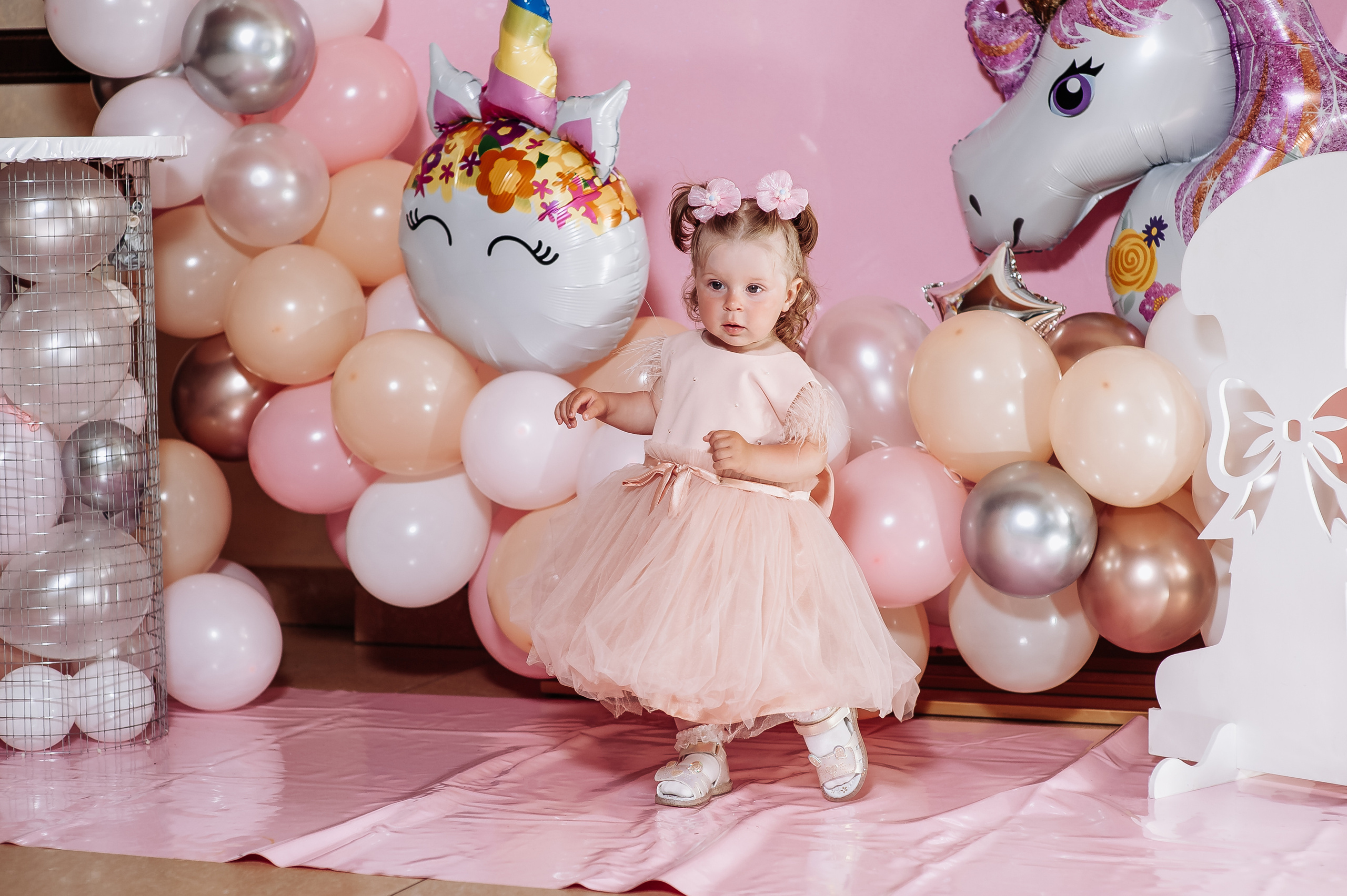 День народження. Весільний та сімейний фотограф Україна