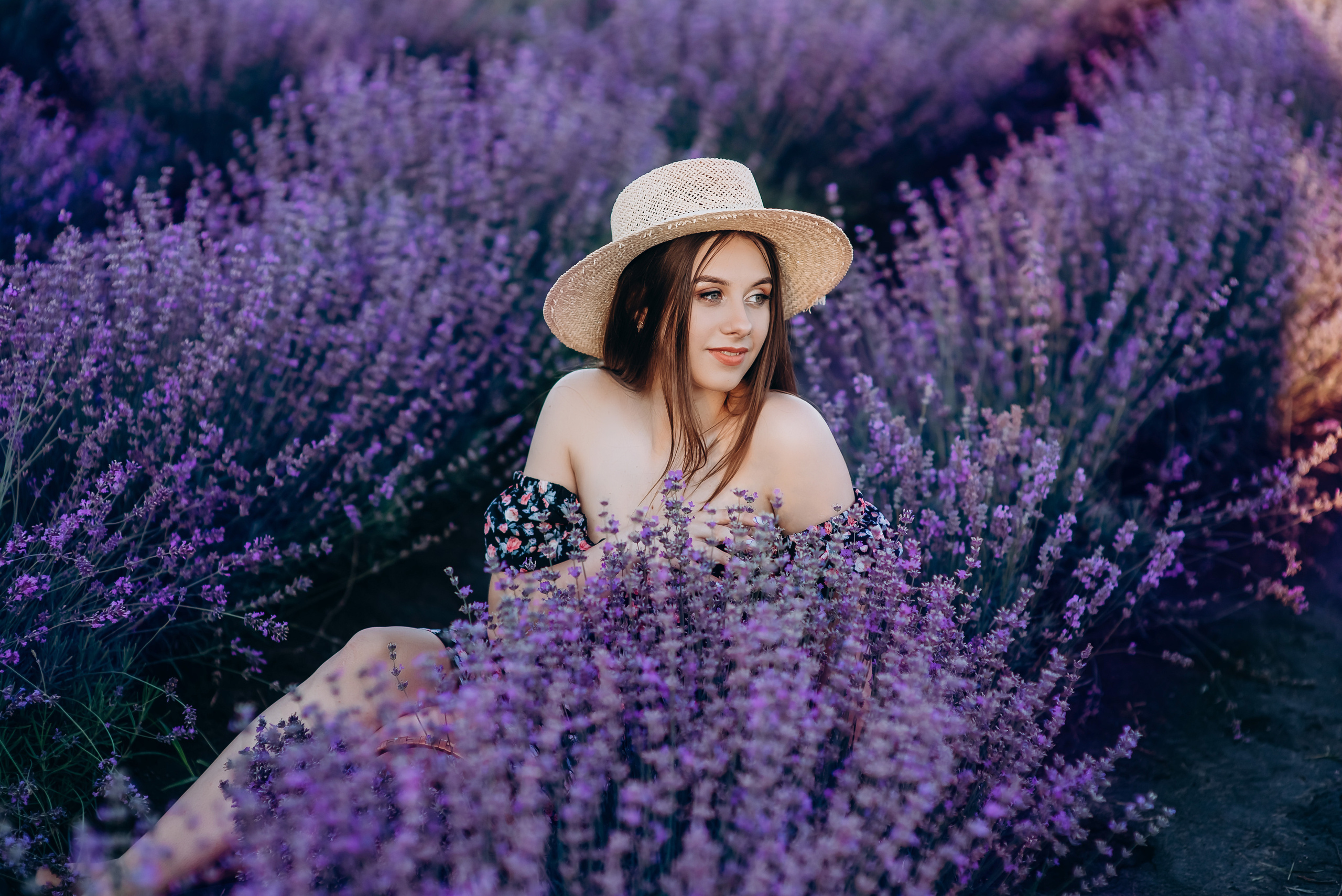 Таня і Діма лаванда. Весільний та сімейний фотограф Україна