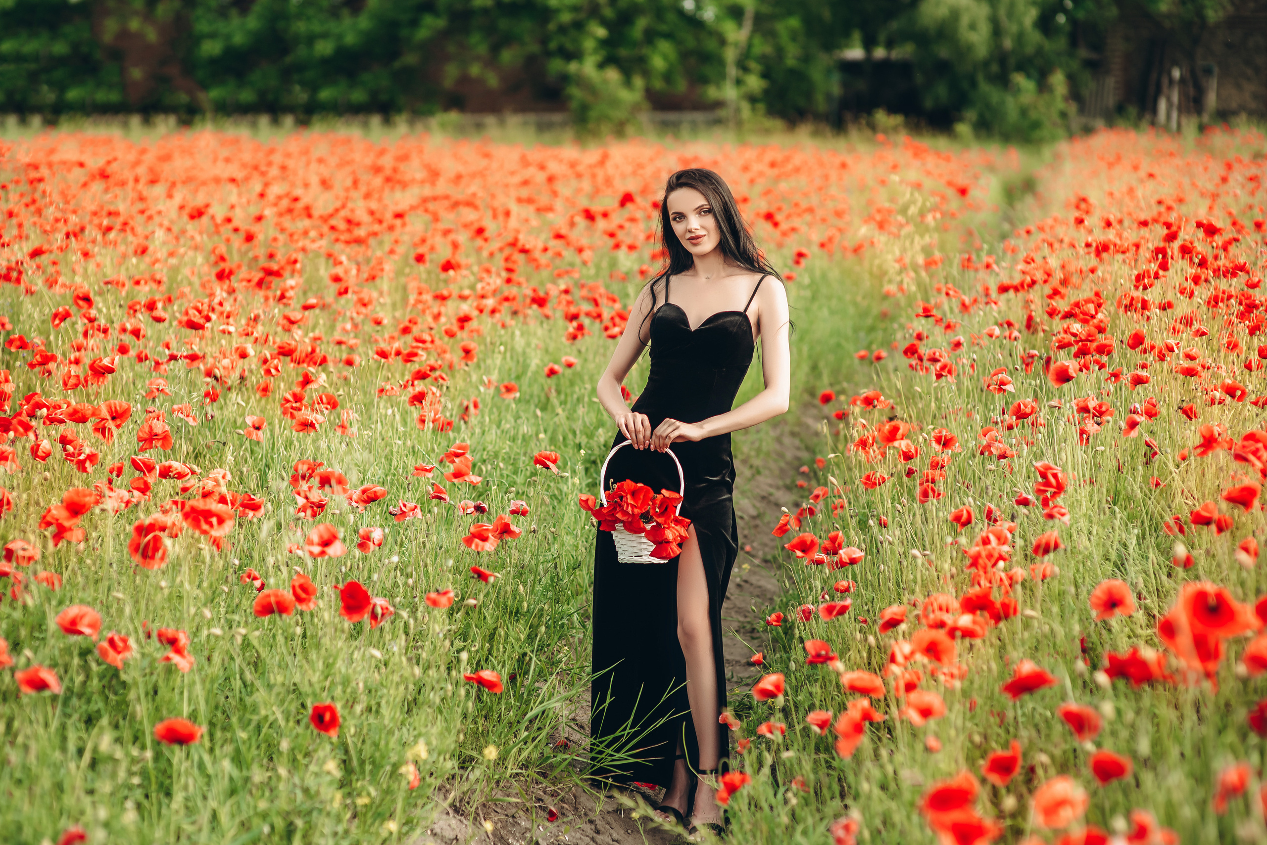 Маки. Весільний та сімейний фотограф Україна