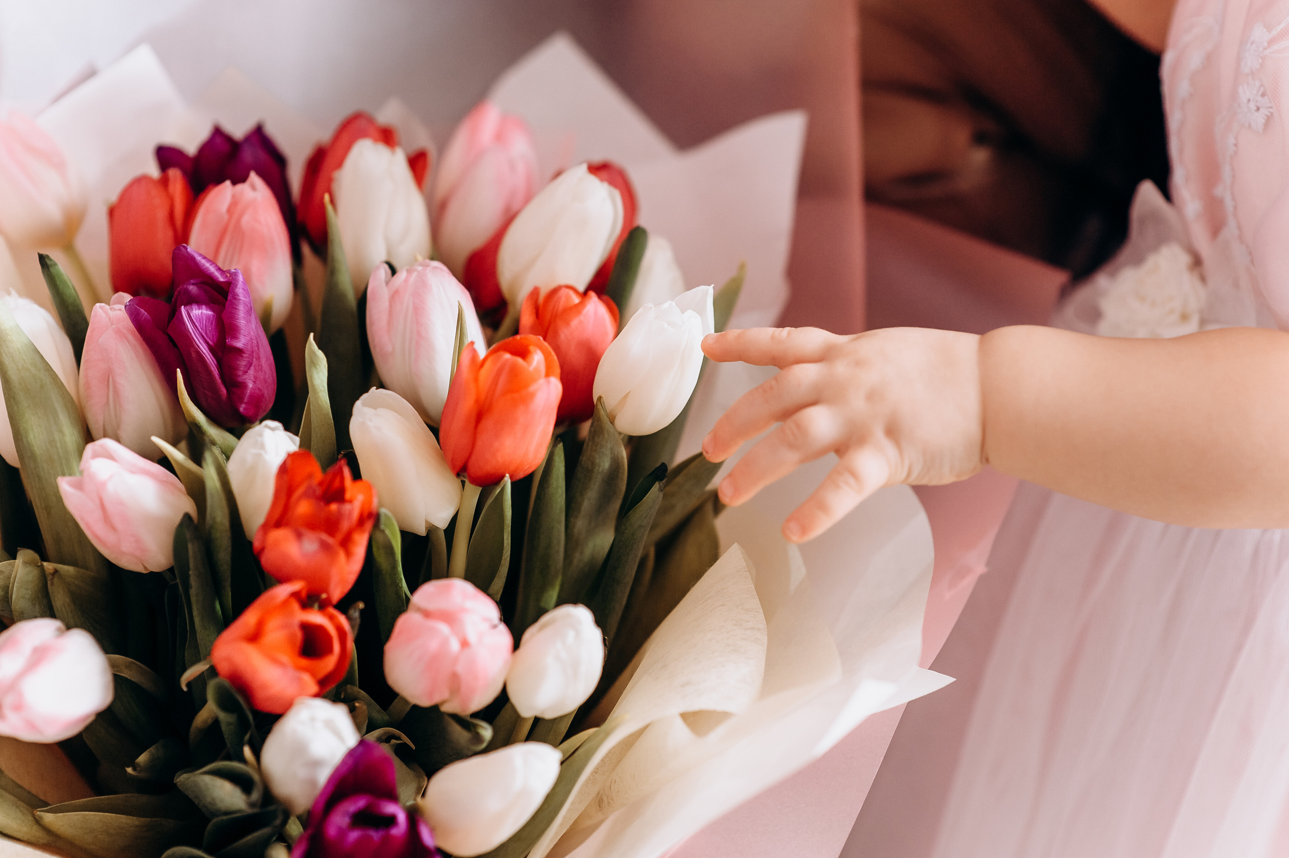 День народження. Весільний та сімейний фотограф Україна