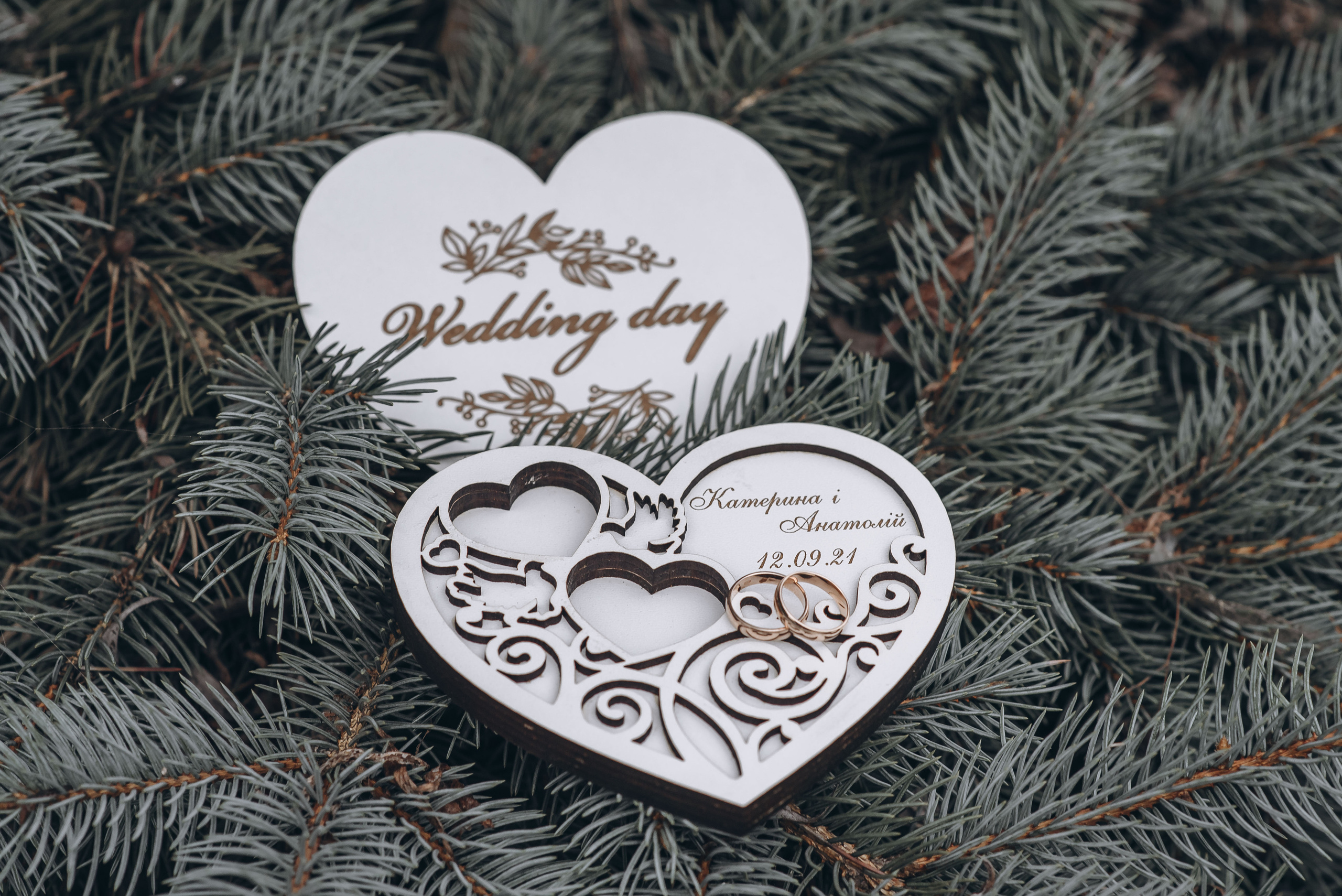 Катя і Толік. Весільний та сімейний фотограф Україна