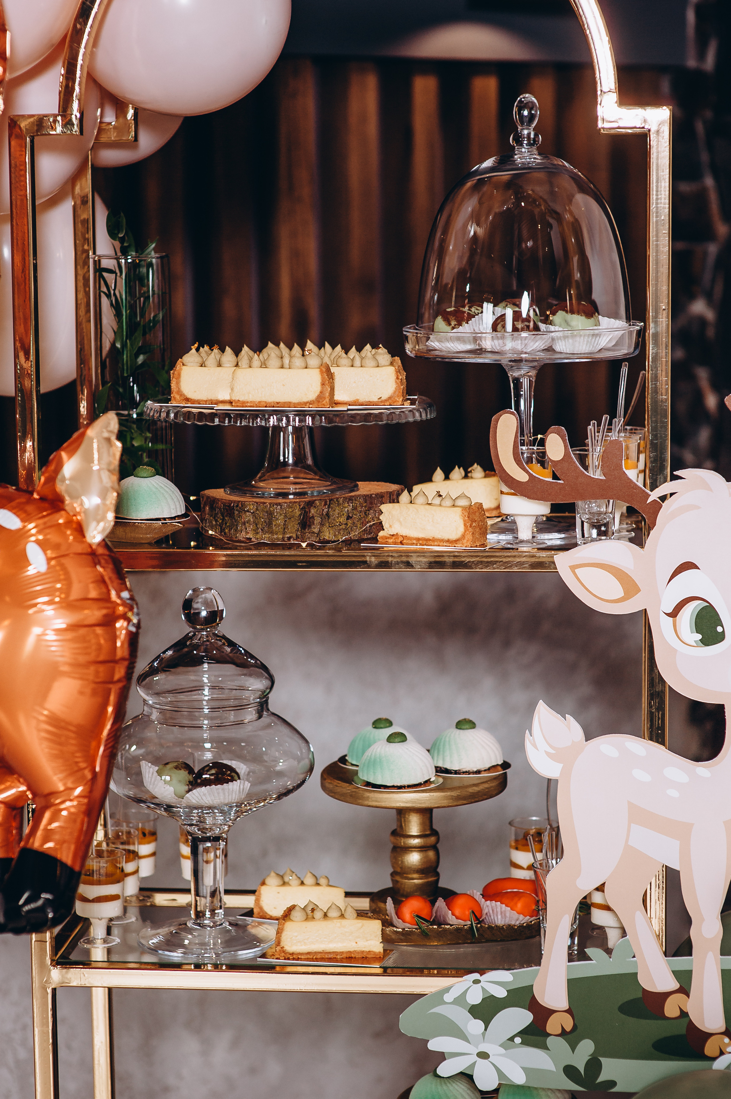 День народження. Весільний та сімейний фотограф Україна